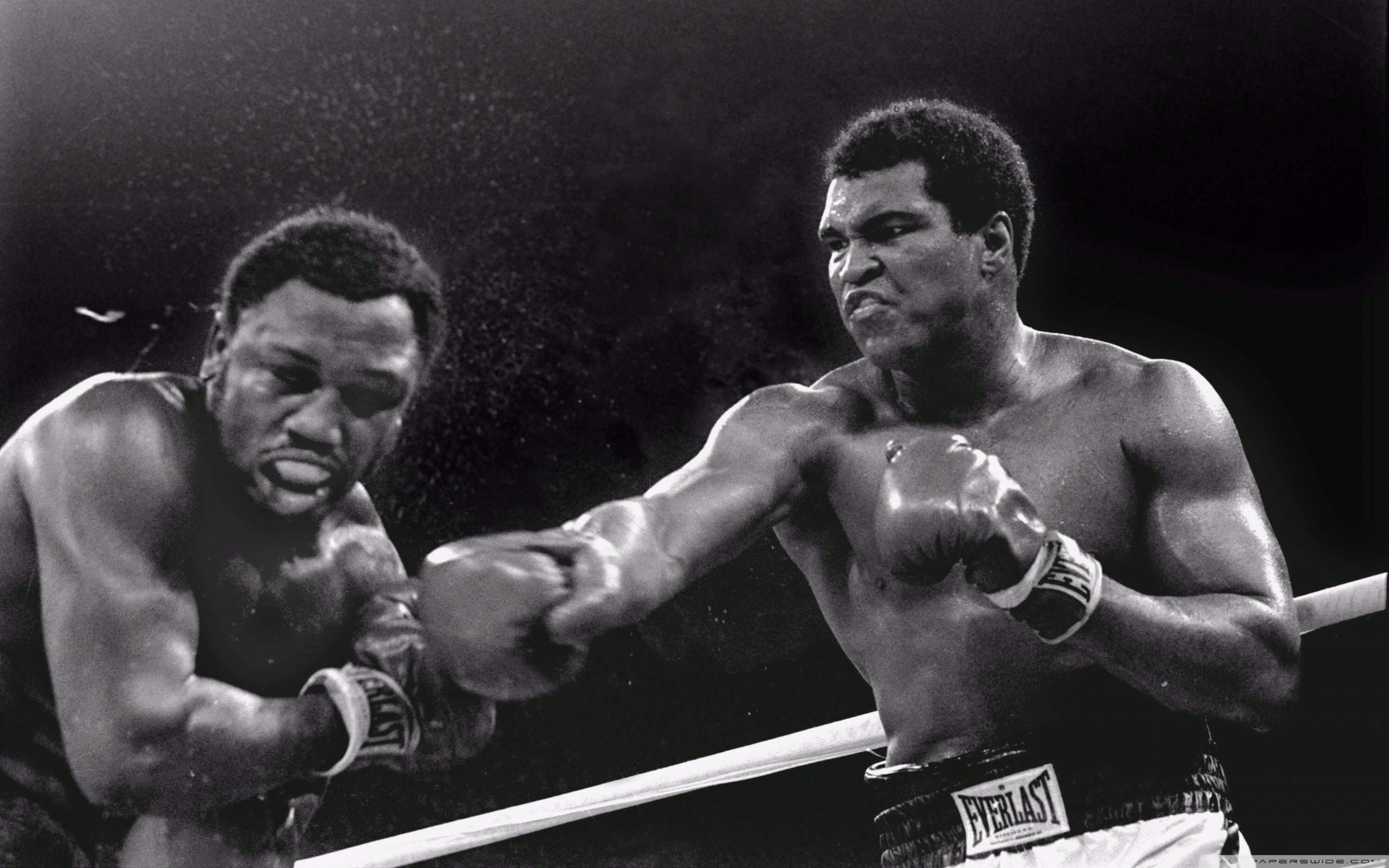 Muhammad Ali, Joe Frazier, Incontro di pugilato, Bianco e nero, 16:10 2K, wallpaper widescreen