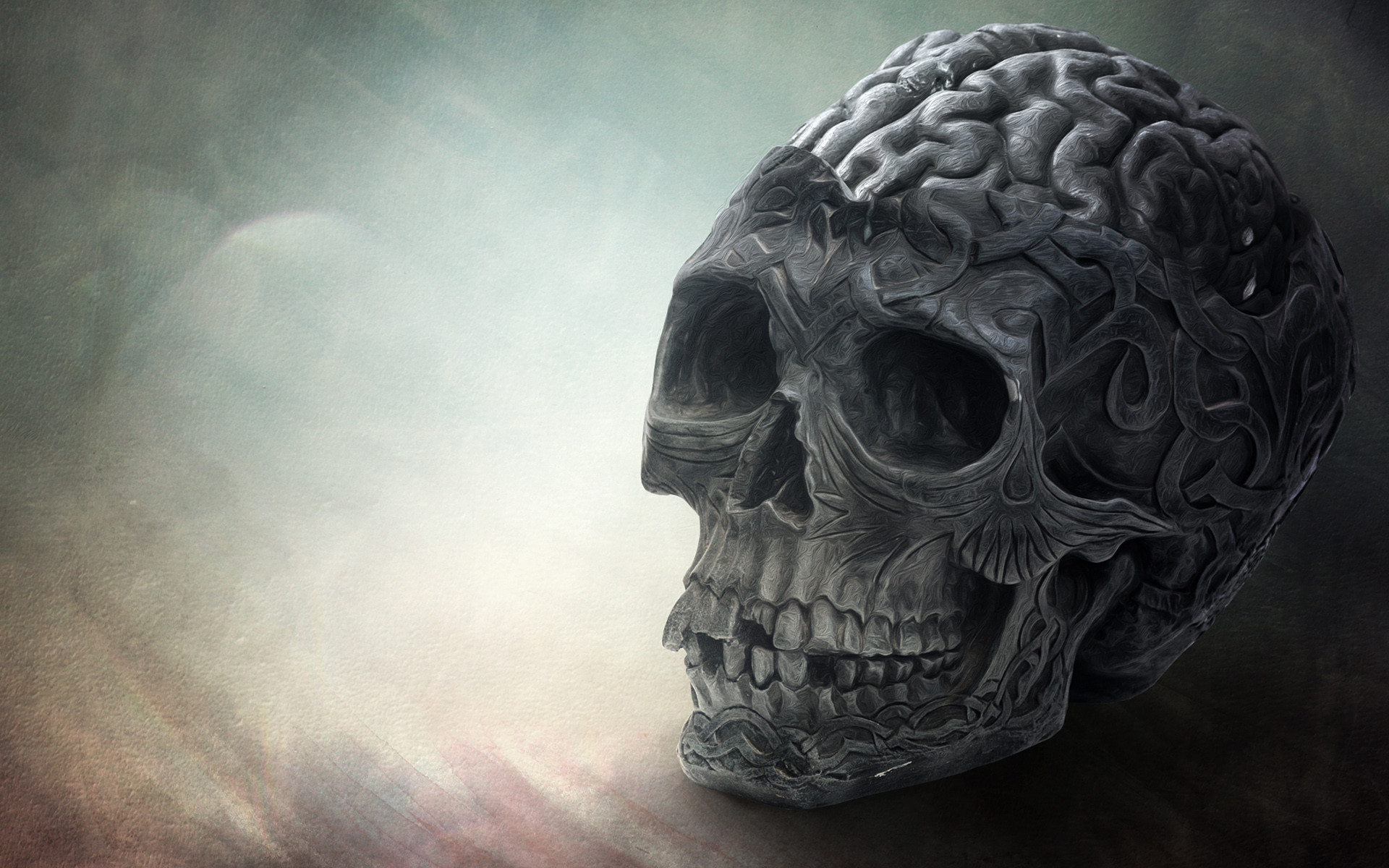 Teschio, Cervello, Rendering 3D, Grigio, 16:10 Full HD, sfondo widescreen