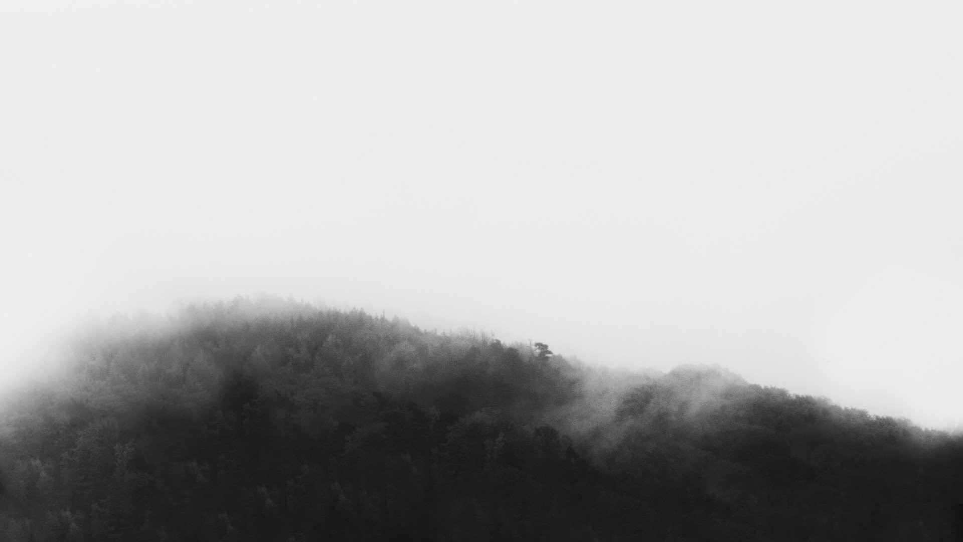 Collina, Nebbia, Bianco e nero, Minimalista, sfondo per desktop
