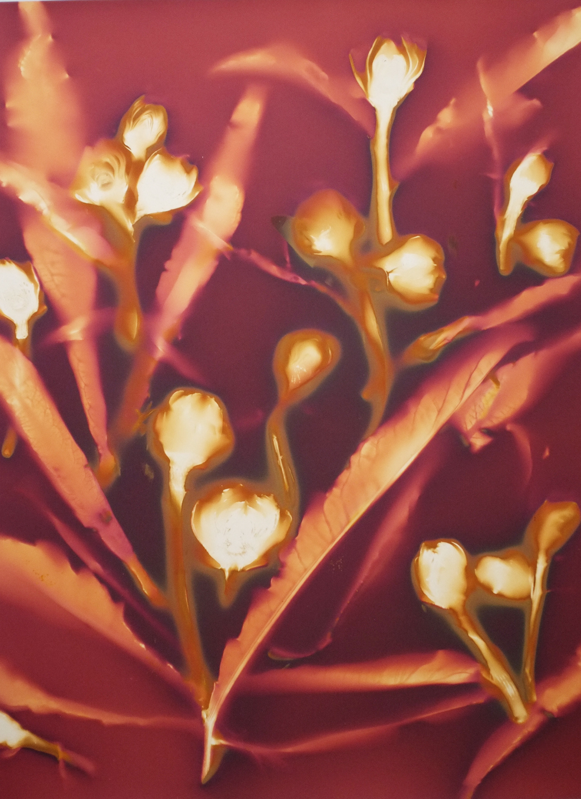 Boccioli, Fiori stilizzati, Bordeaux, Oro, QHD+, schermata di blocco iPad