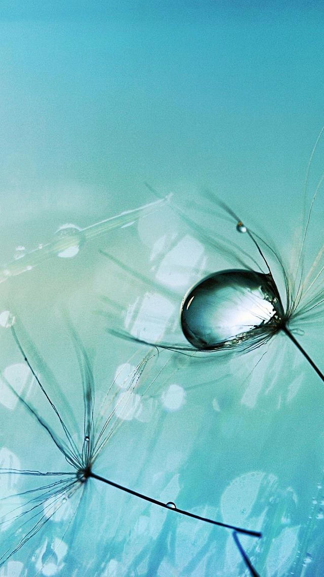 Goccia d'acqua, Soffione, Macro, Bokeh, Full HD, sfondo per smartphone