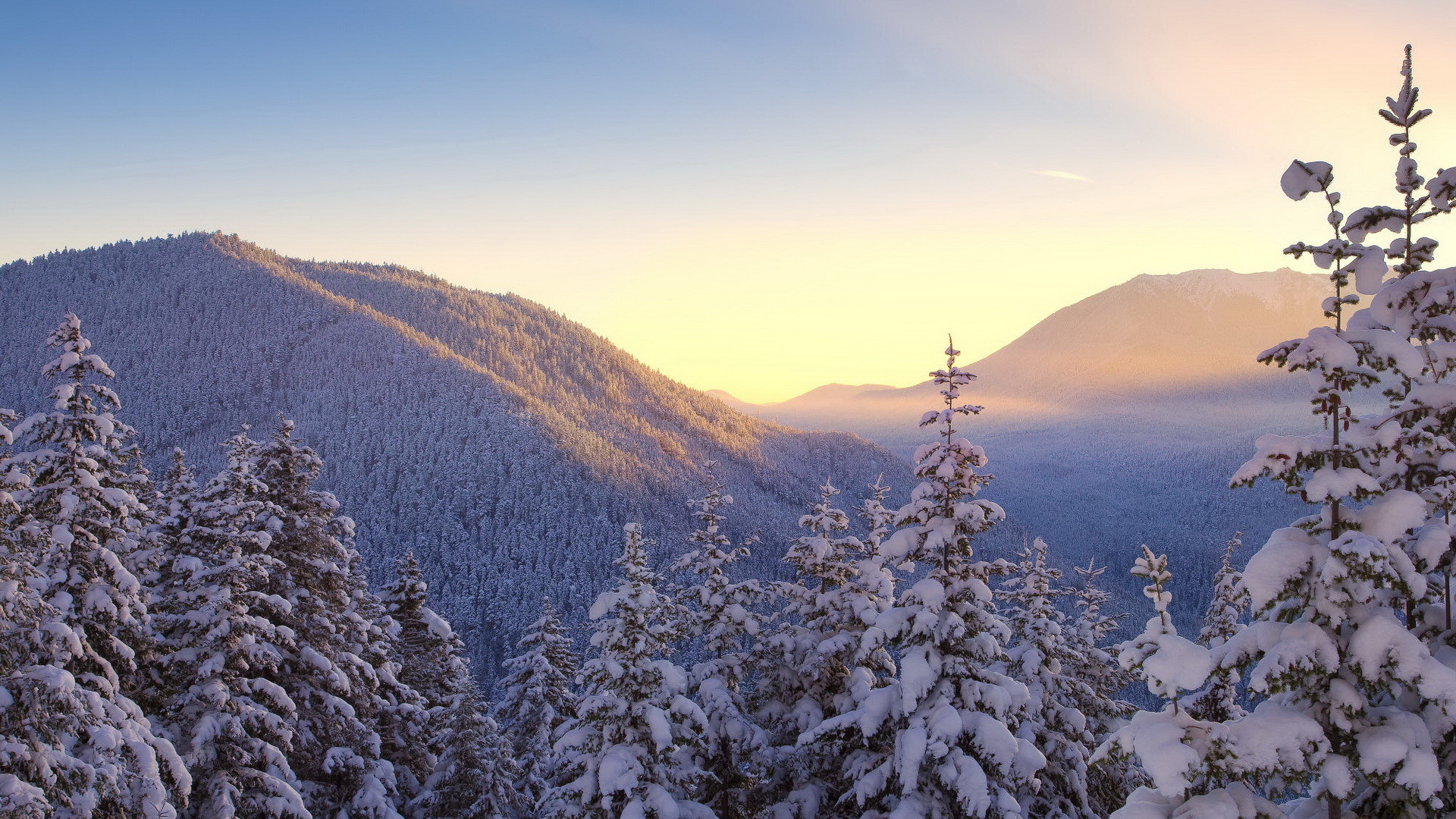 Montagne, Abeti innevati, Tramonto, Full HD 1080p, sfondo desktop