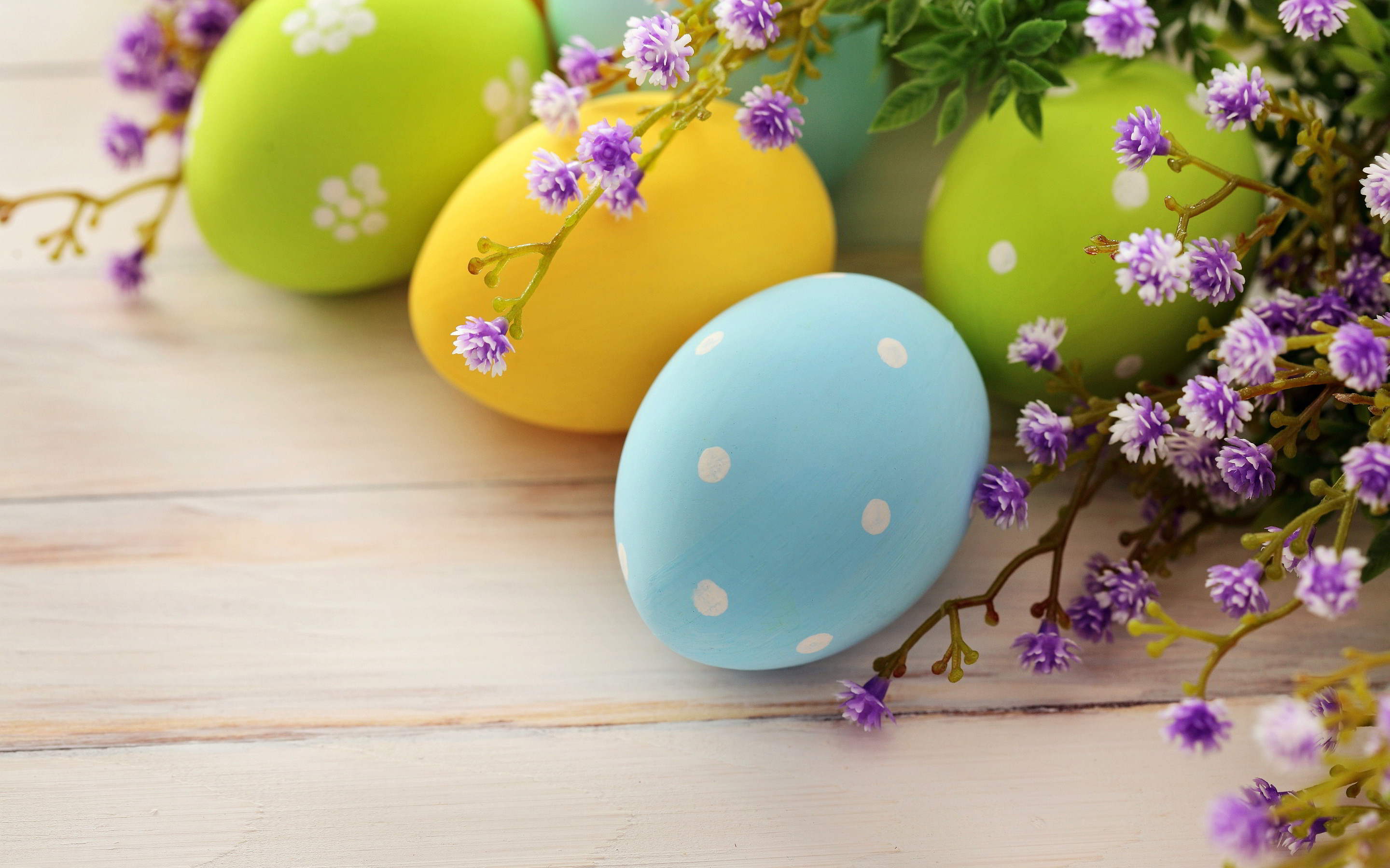 Uova di Pasqua, Colori pastello, Uova a pois, Fiori viola, Legno, sfondo 2K per computer