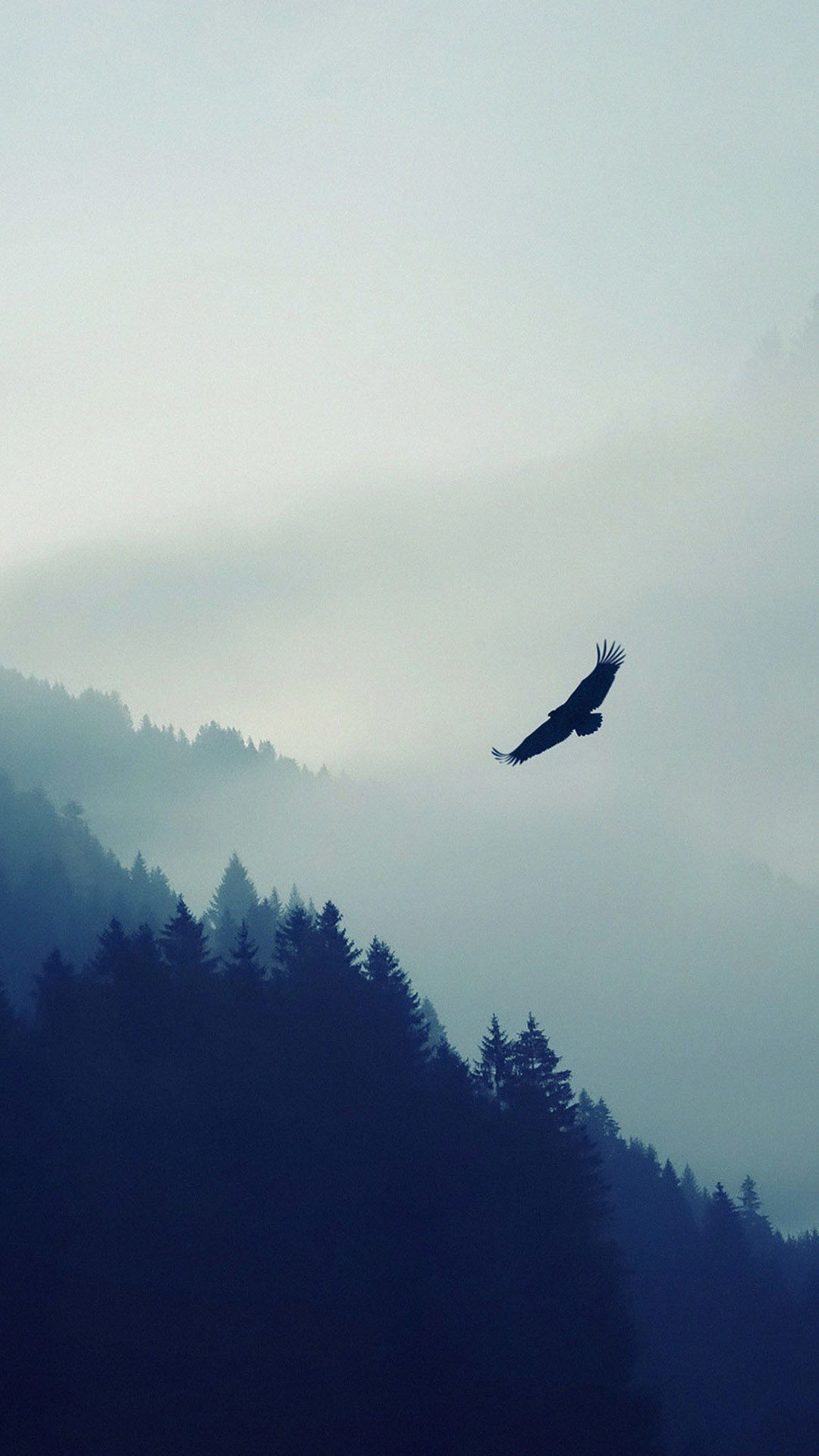 Aquila, Foresta, Nebbia, Montagne, wallpaper iPhone 6