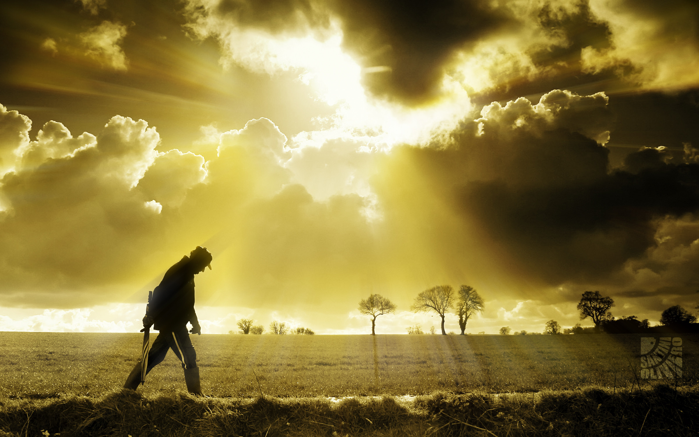 Viandante, Raggi di sole, Nuvole, Campo, 2400x1500, sfondo MacBook Pro