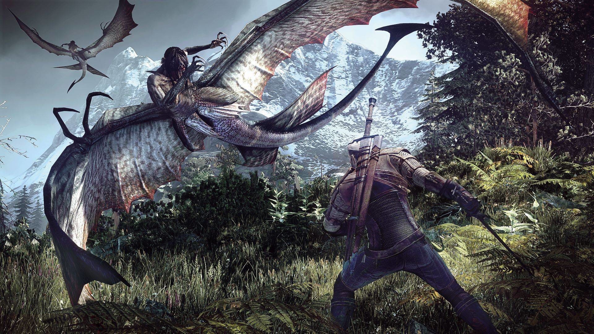 Geralt di Rivia, Viverna, The Witcher 3: Wild Hunt, Combattimento, sfondo per portatile