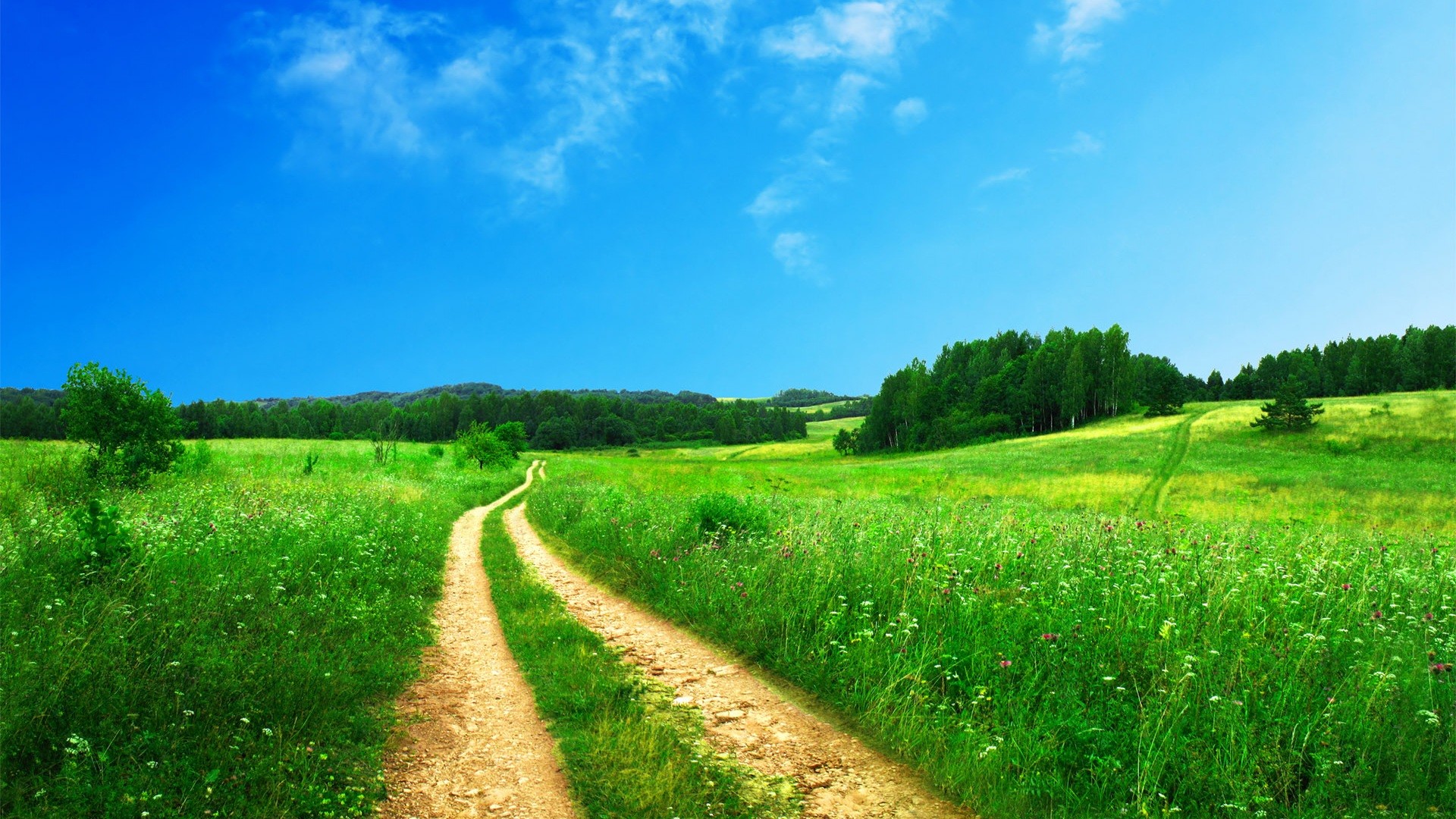 Sentiero di campagna, Prato, Cielo azzurro, Estate, Full HD, sfondo per PC