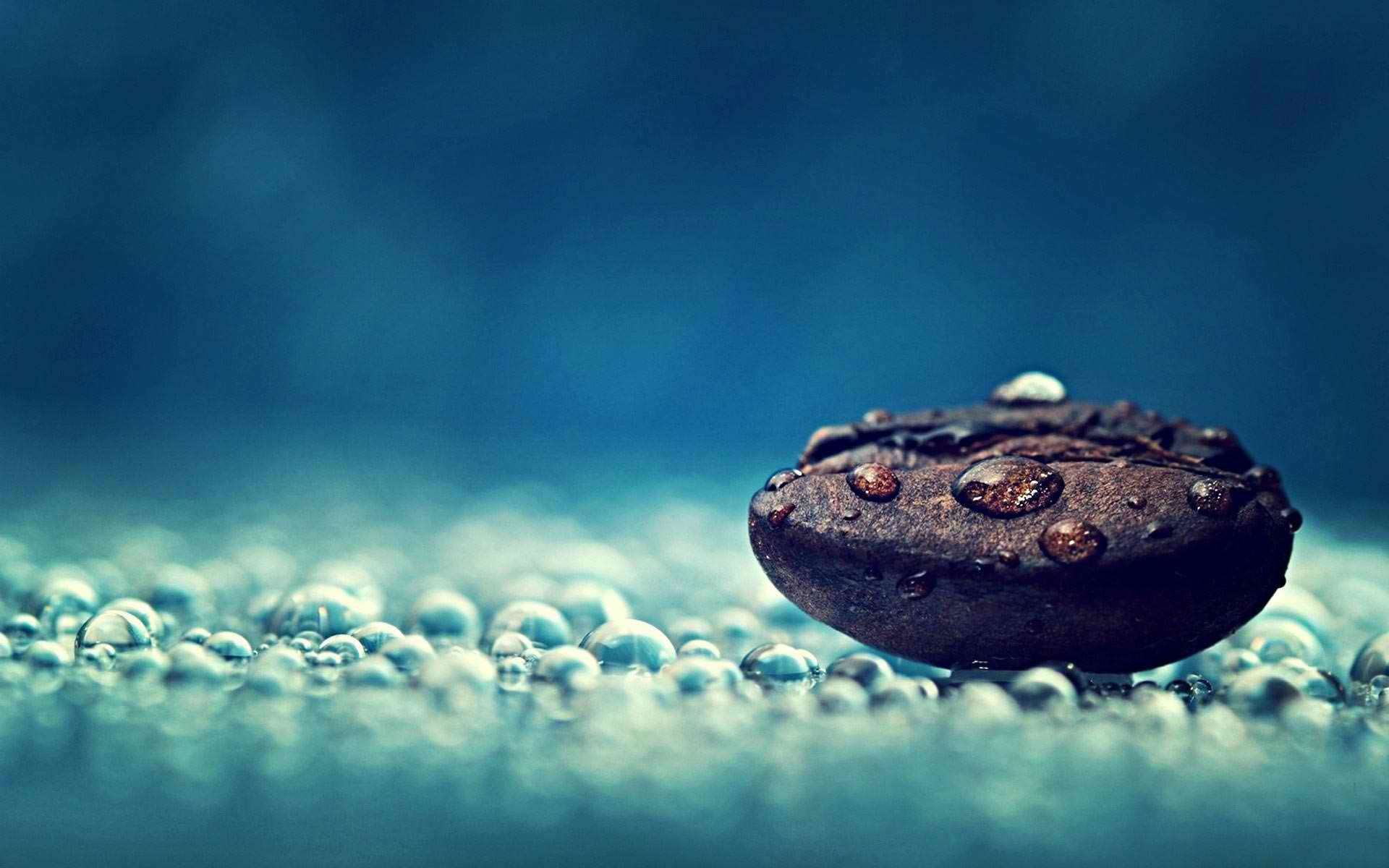 Chicco di caffè, Gocce d'acqua, Macro, Blu, sfondo per il tuo desktop