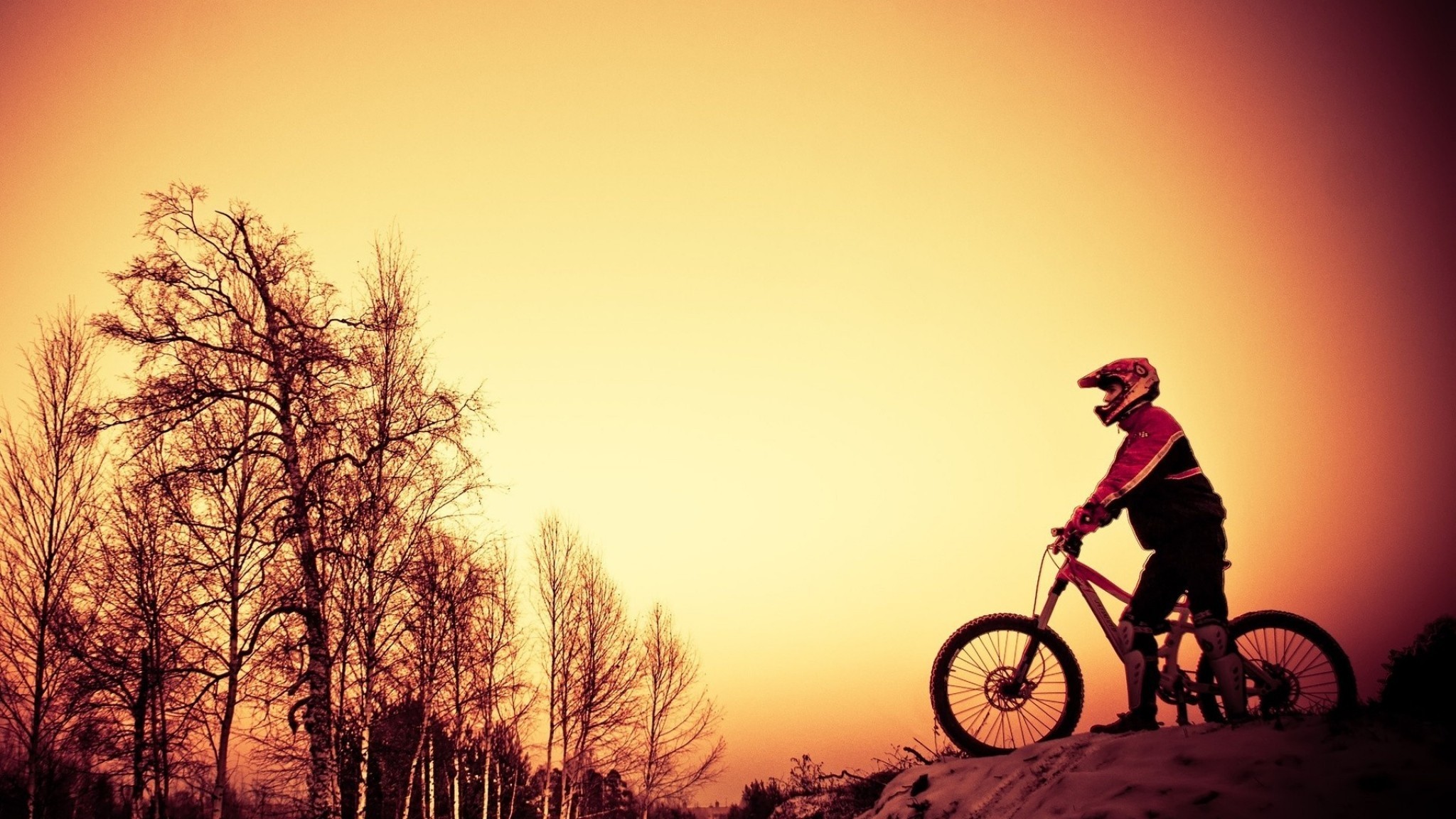 Mountain bike, Tramonto, Cielo arancione, Alberi spogli, Full HD, sfondo per PC