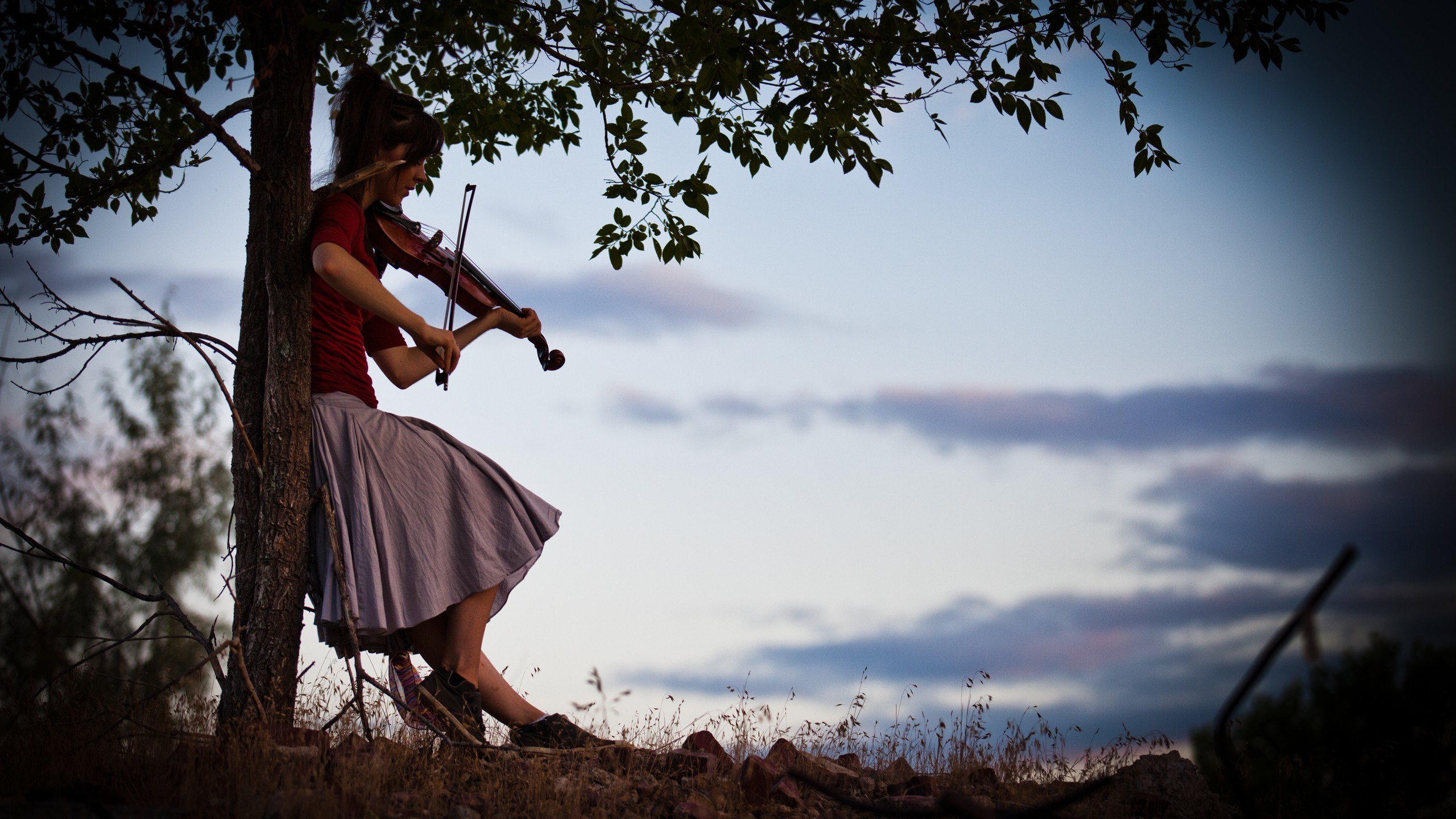 Lindsey Stirling, Violino, Albero, Cielo, Crepuscolo, 2K, wallpaper per computer