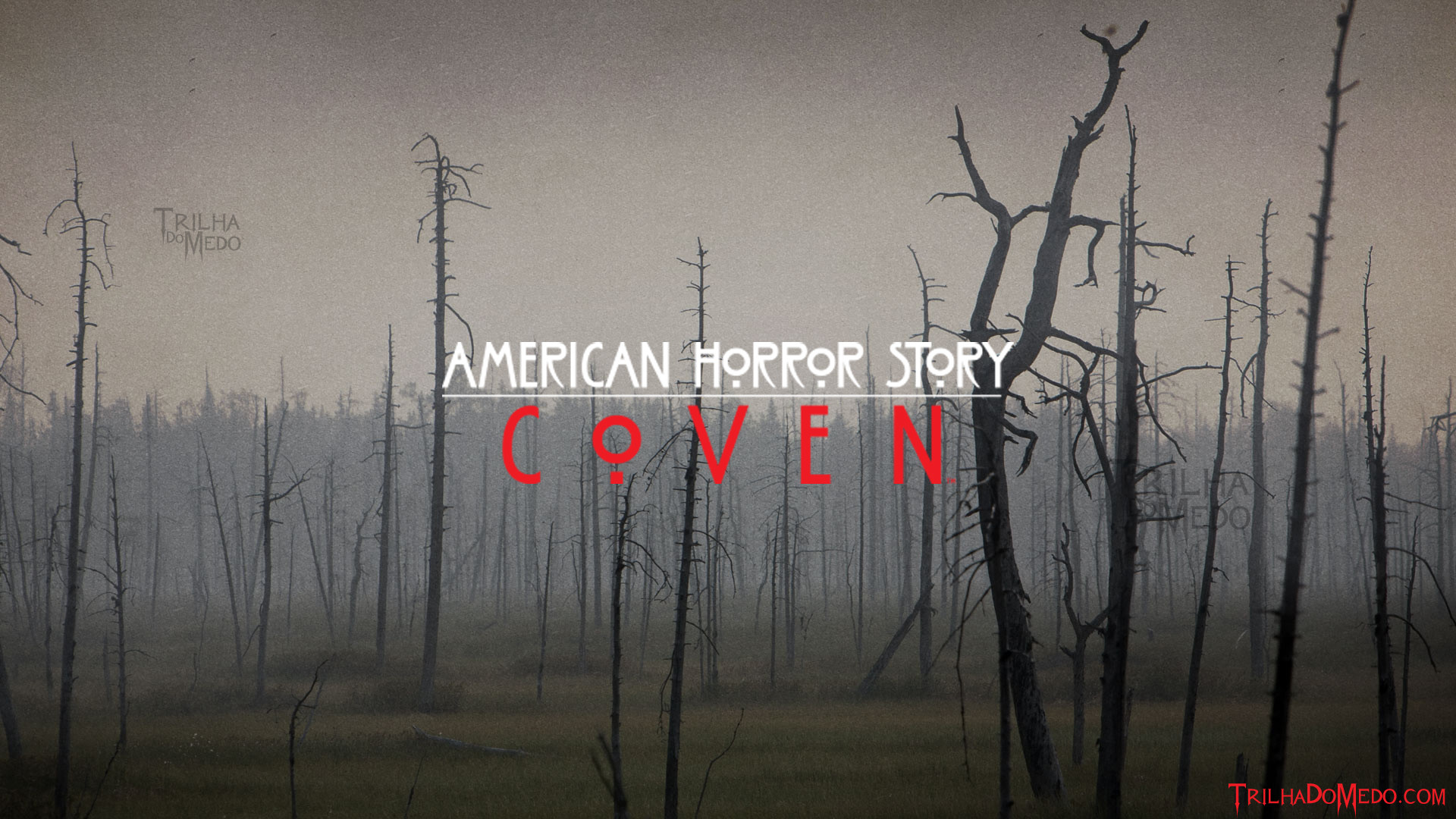 American Horror Story: Coven, Logo, Palude, Alberi morti, Nebbia, sfondo Full HD per PC