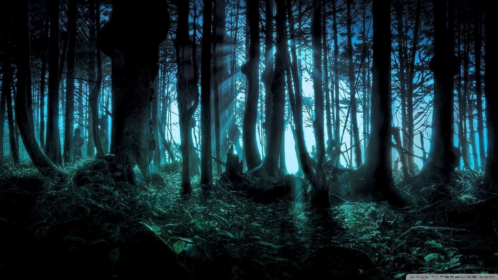 Foresta oscura, Raggi di luce, Alberi, Azzurro, Full HD, sfondo per PC e portatile