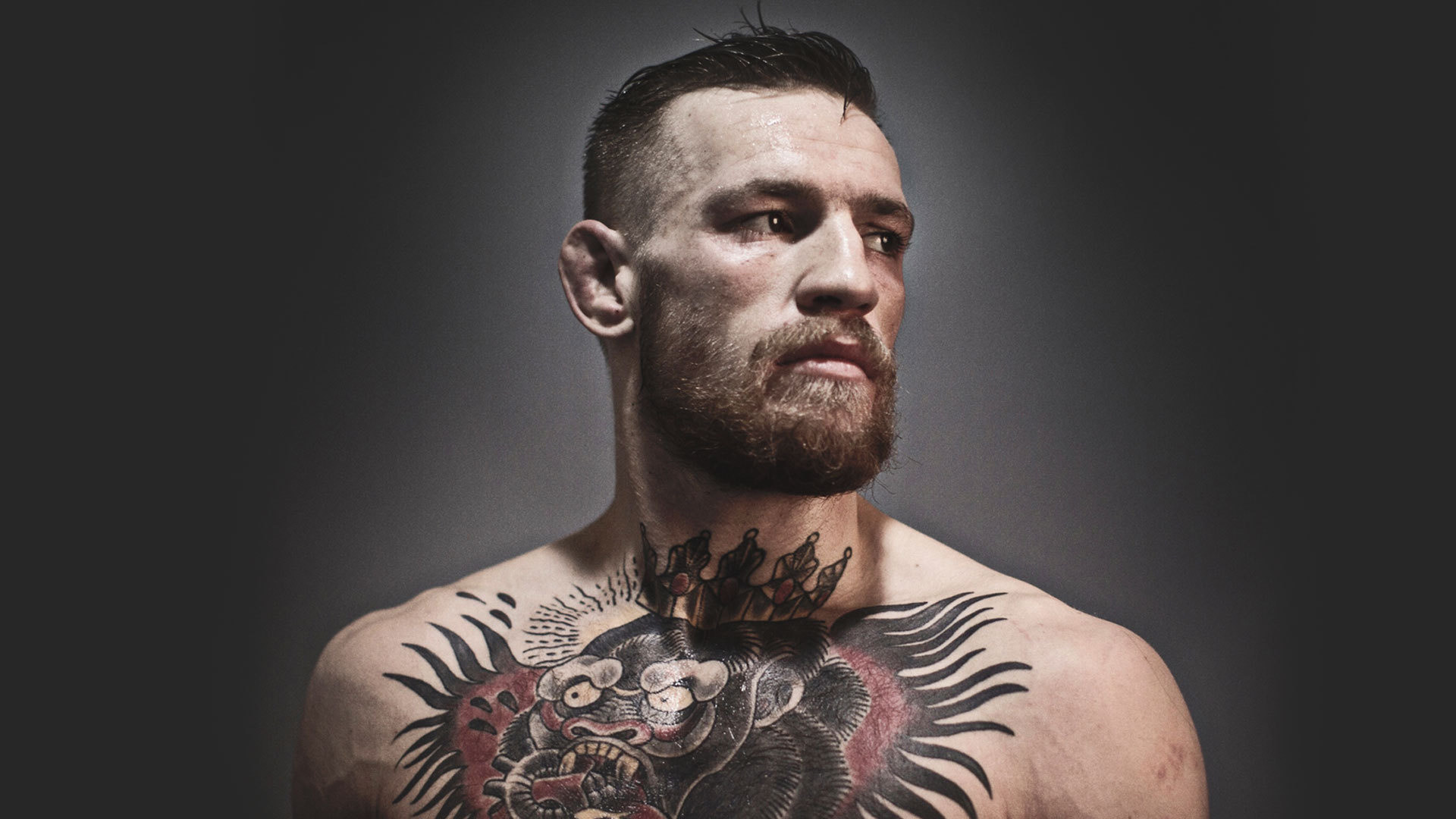Conor McGregor, Tatuaggi, Ritratto, Sguardo intenso, Full HD, sfondo Windows 11