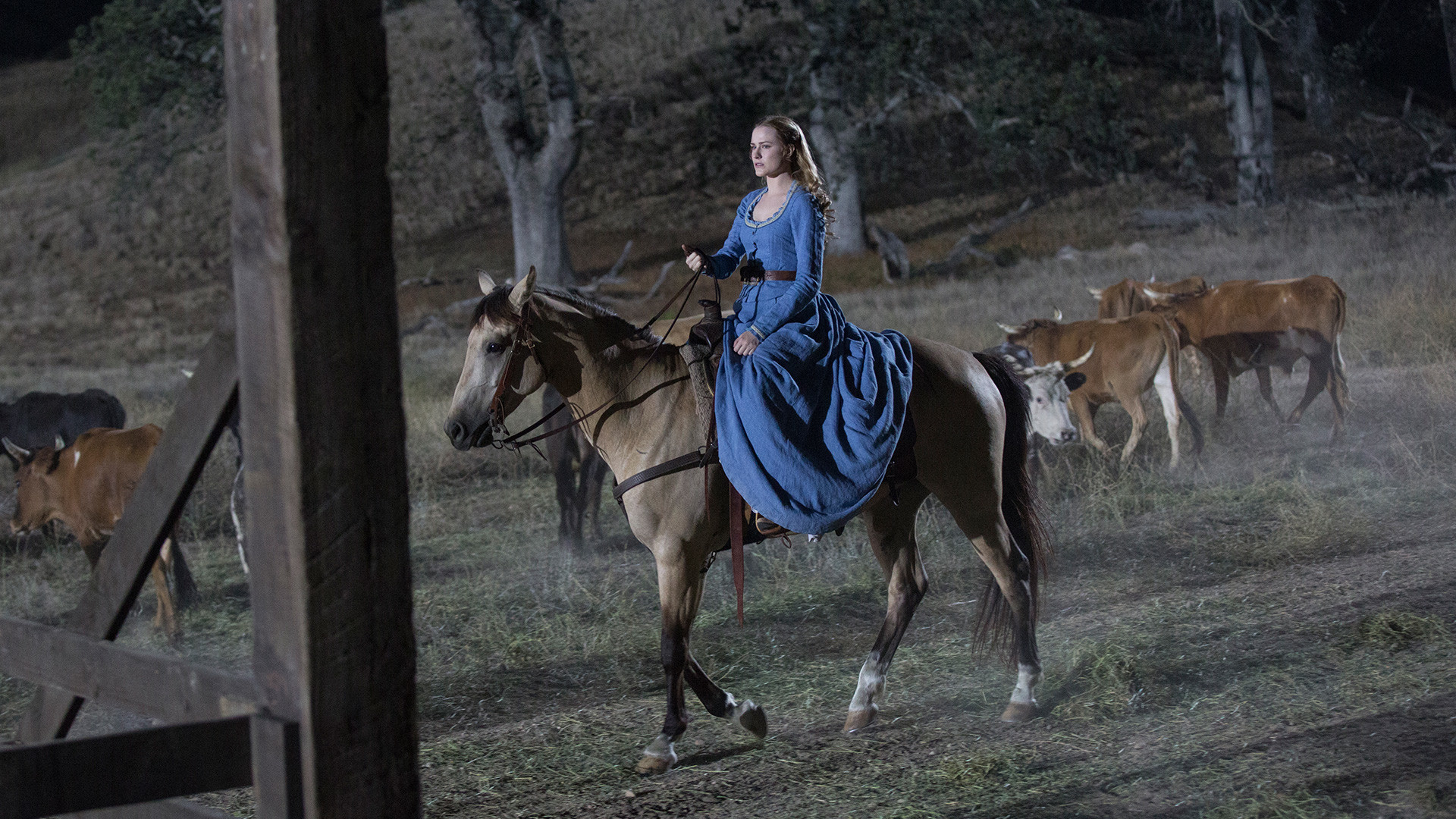 Dolores Abernathy, Evan Rachel Wood, Westworld, Cavallo, Mandria, sfondo 16:9 Full HD