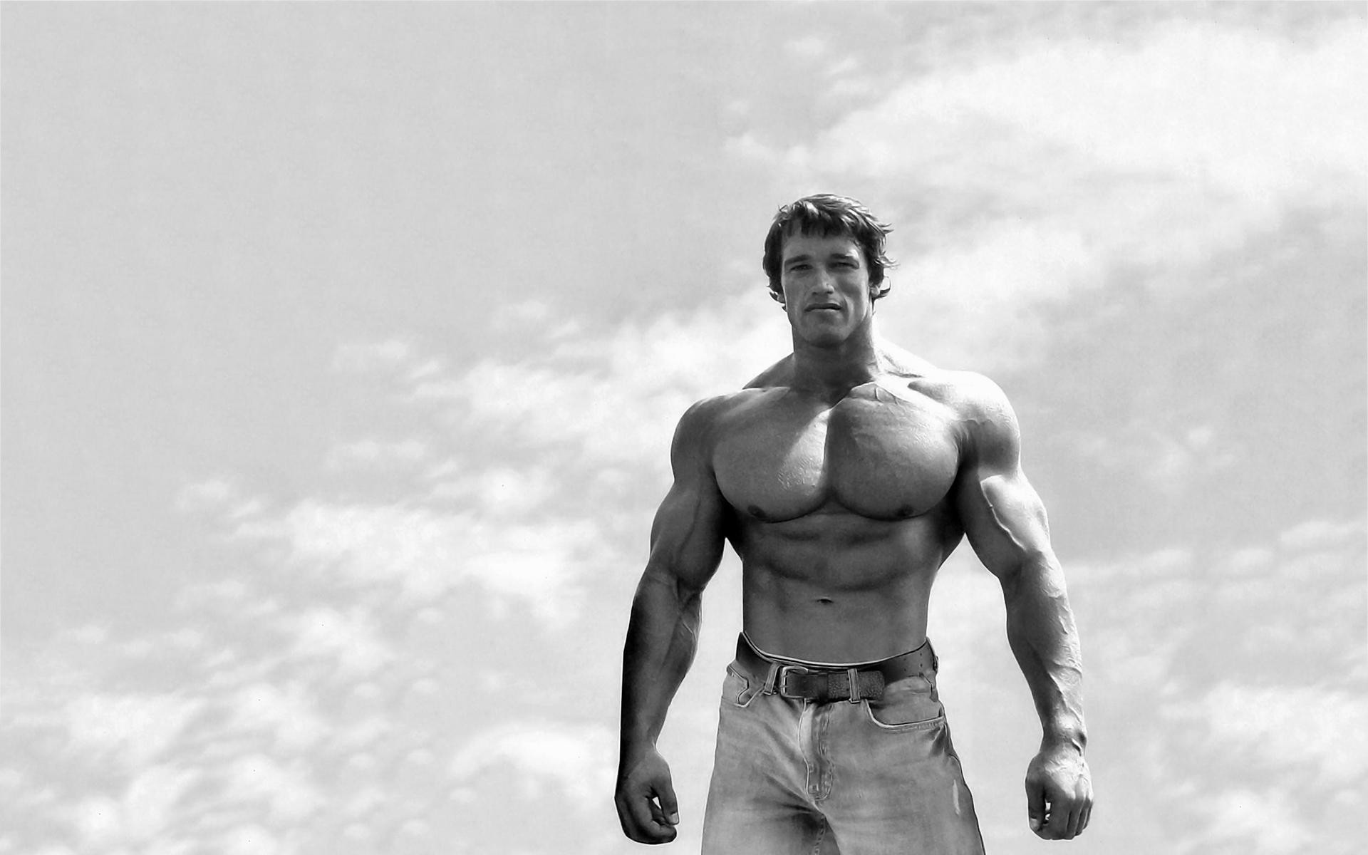 Arnold Schwarzenegger, Bianco e nero, Cielo, Fisico scolpito, Full HD, sfondo Windows 11
