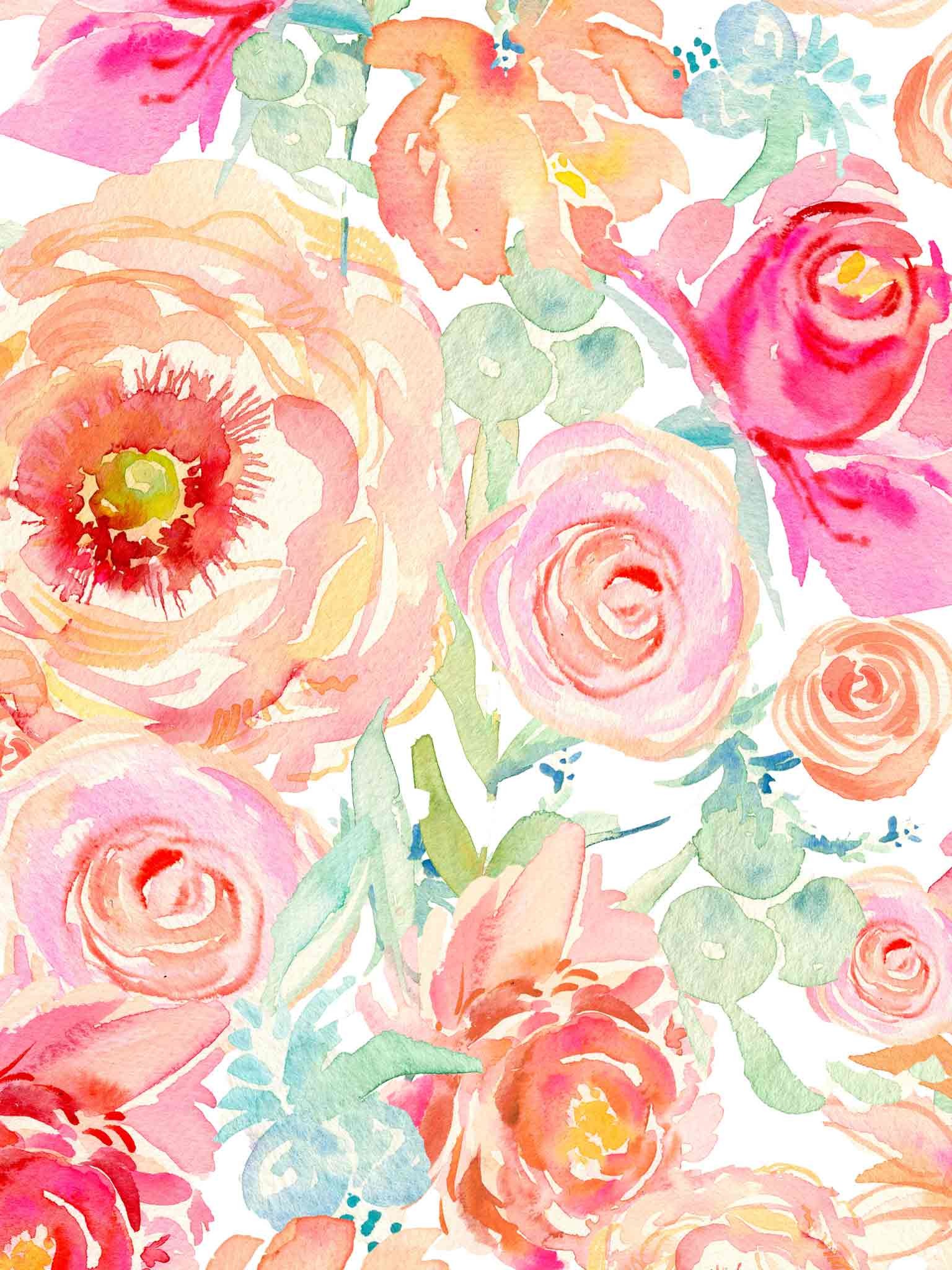 Rose, Peonie, Motivo floreale, Acquerello, Rosa, sfondo per iPad e tablet