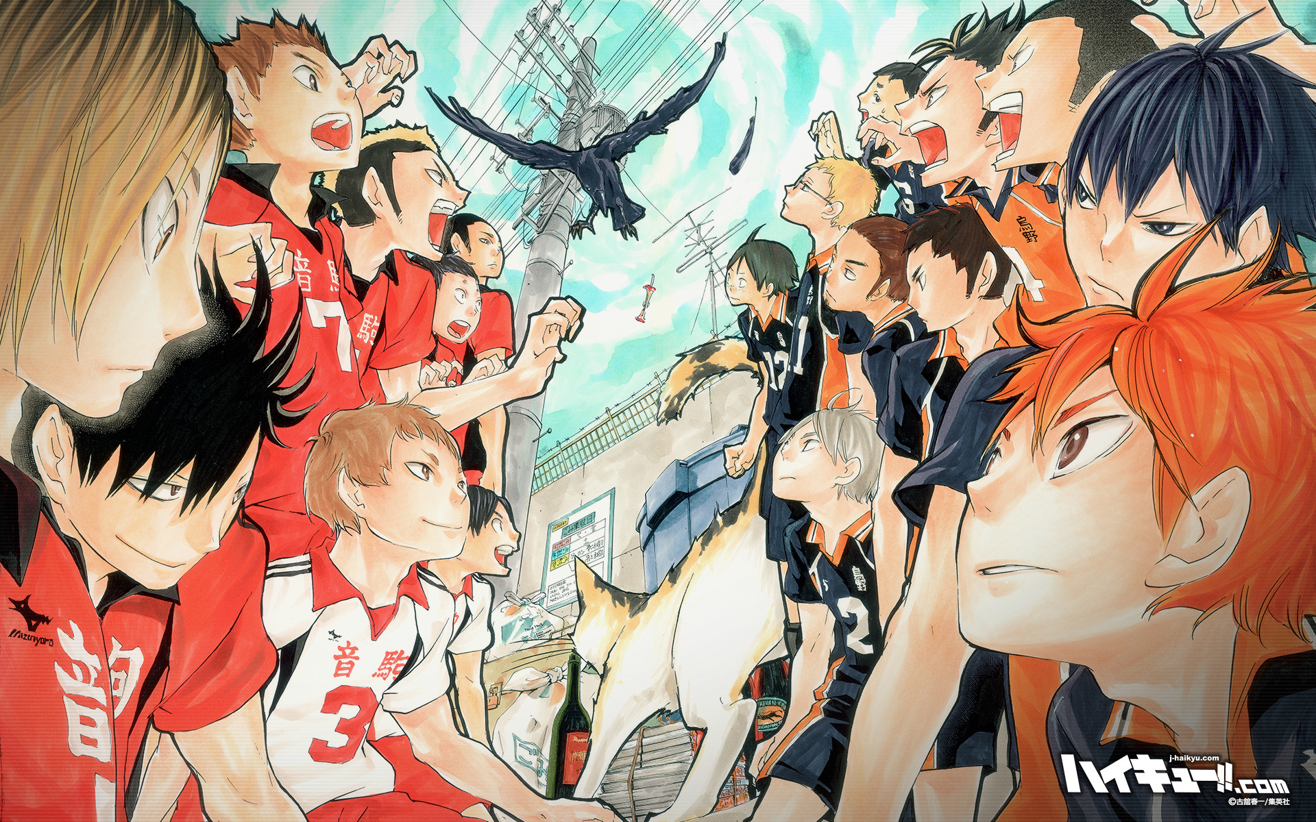 Shoyo Hinata, Tetsuro Kuroo, Karasuno, Nekoma, Haikyu!!, Full HD, sfondo Windows 11