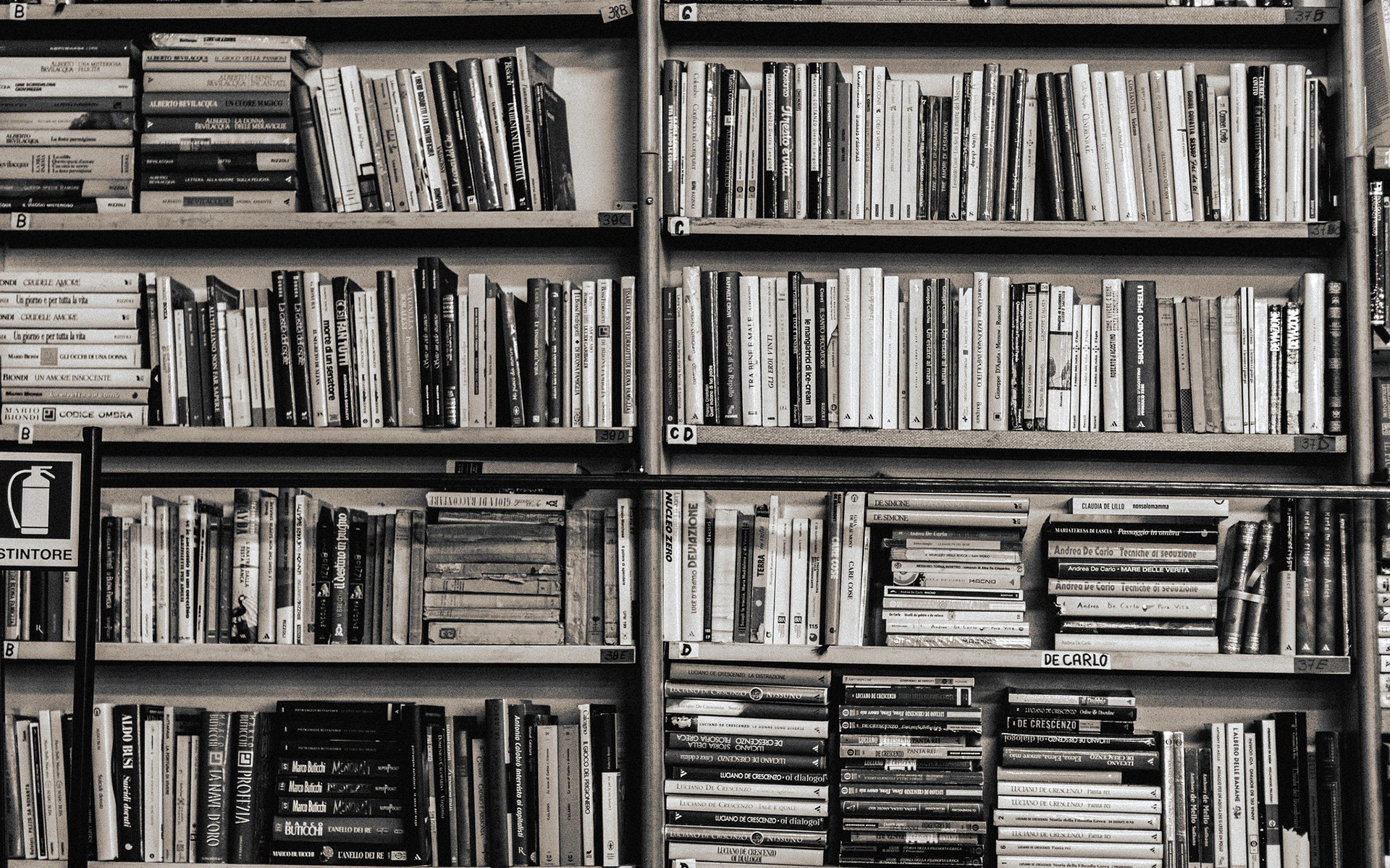 Scaffali, Libri, Bianco e nero, 1920x1200, sfondo per PC