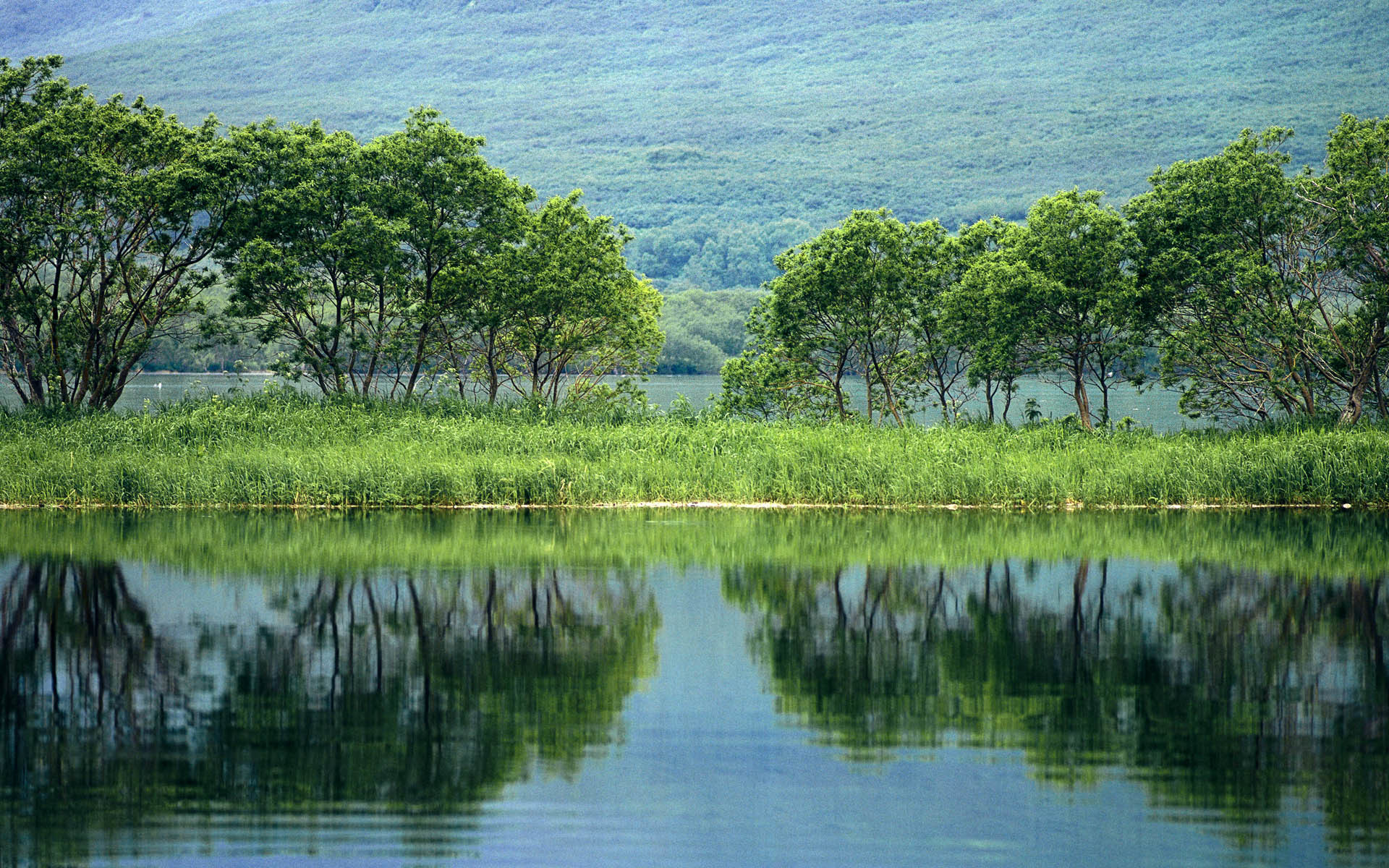 Lago, Alberi, Riflesso, Verde, Full HD, immagine di sfondo Windows 7