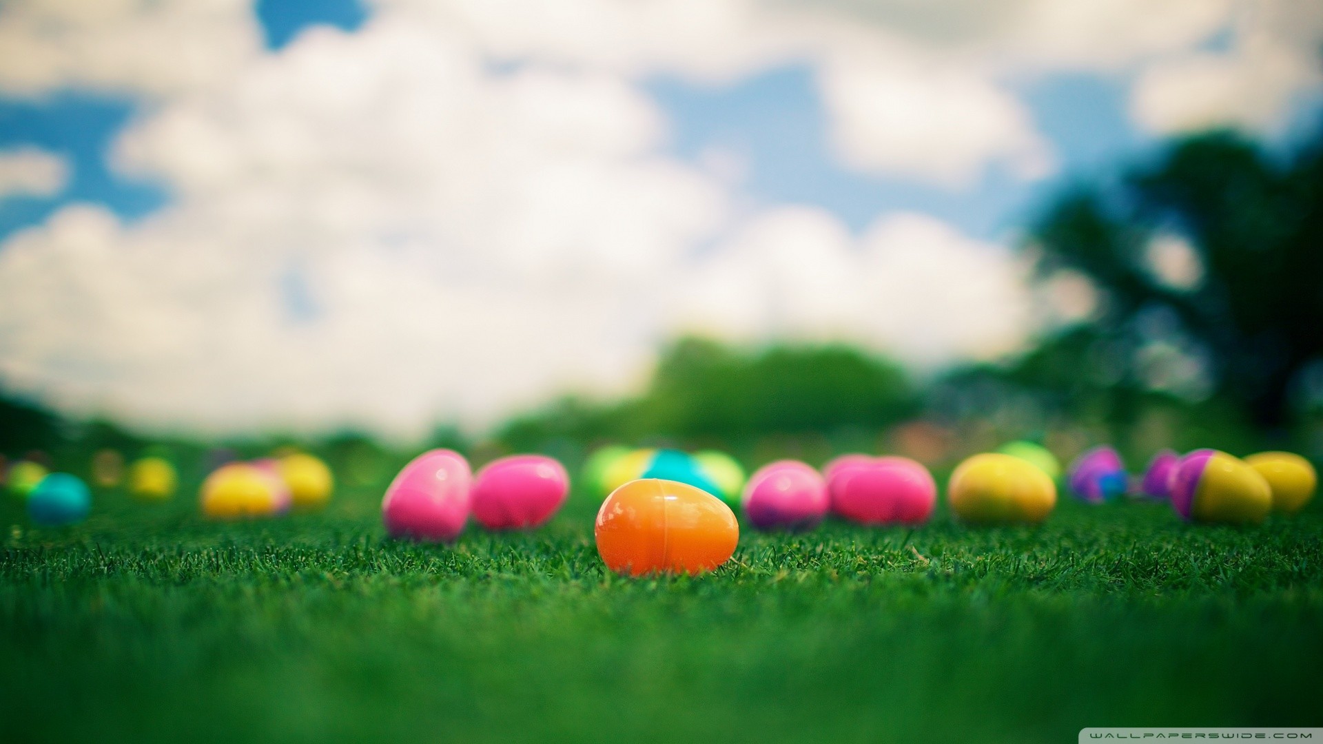Uova di Pasqua, Caccia alle uova, Prato, Profondità di campo, Nuvole, sfondo per portatile
