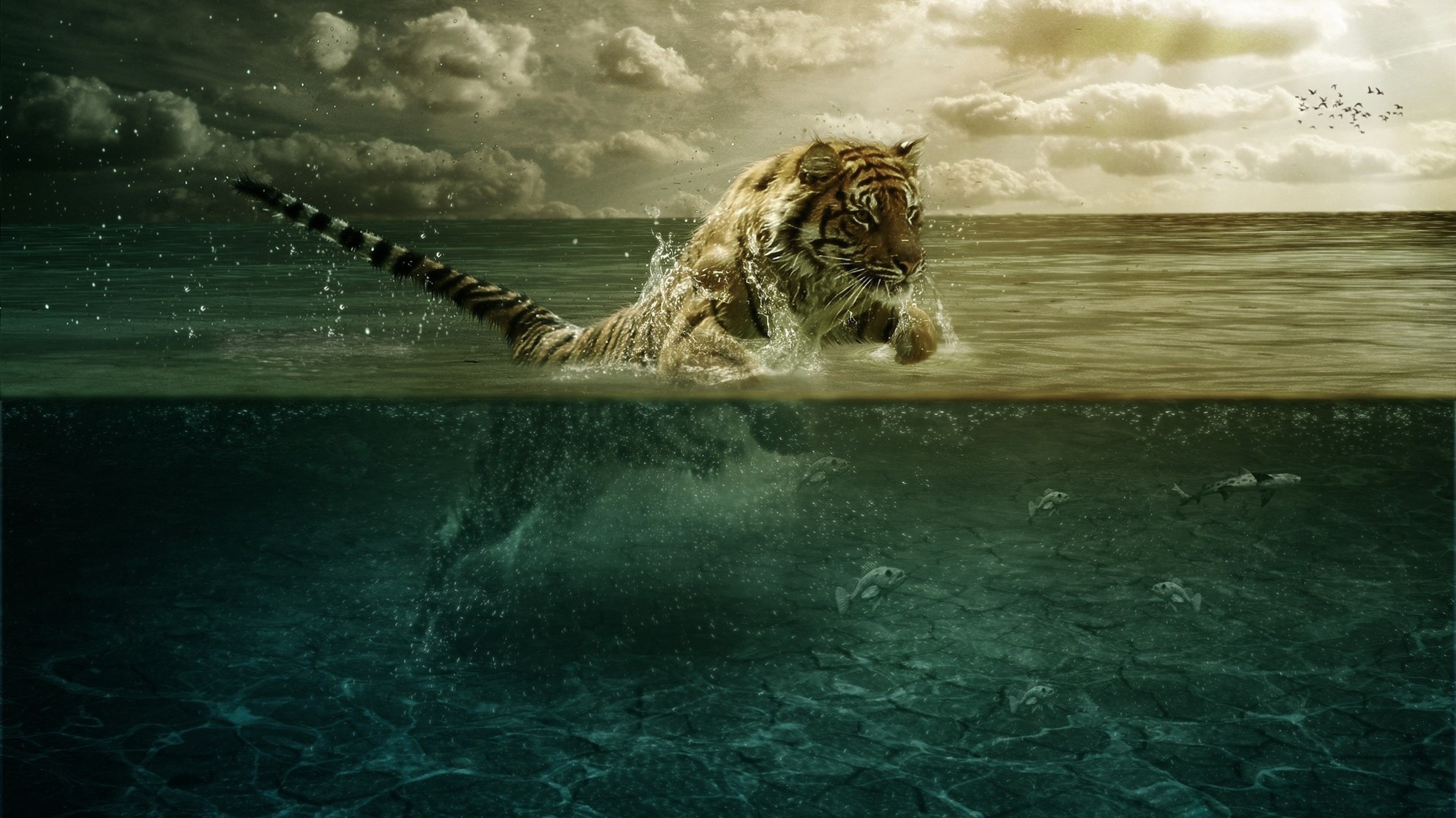 Tigre, Acqua, Fotomanipolazione, Mare, 4K, immagine di sfondo PC