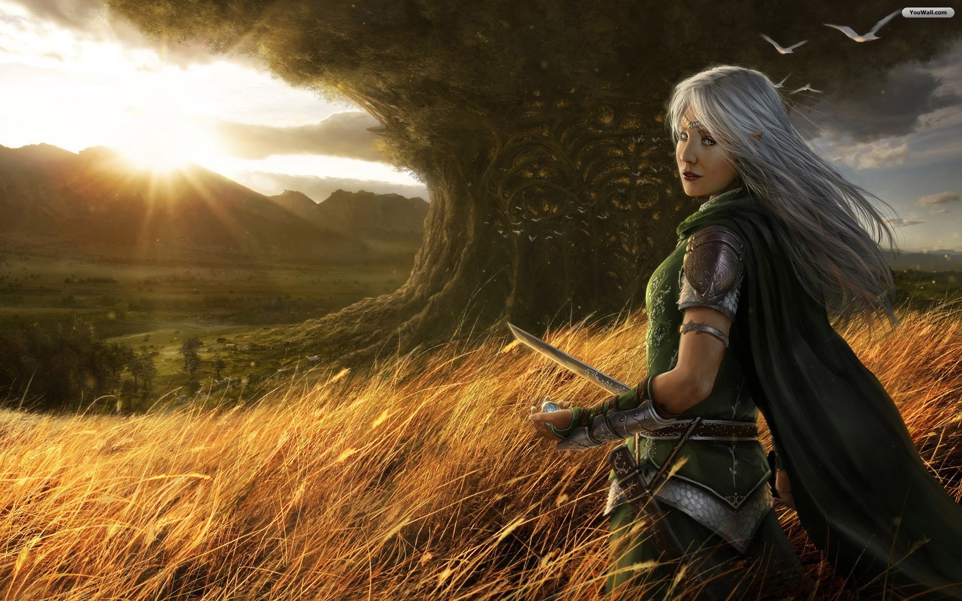 Guerriera elfica, Capelli bianchi, Albero, Campo dorato, Fantasy, sfondo widescreen Full HD