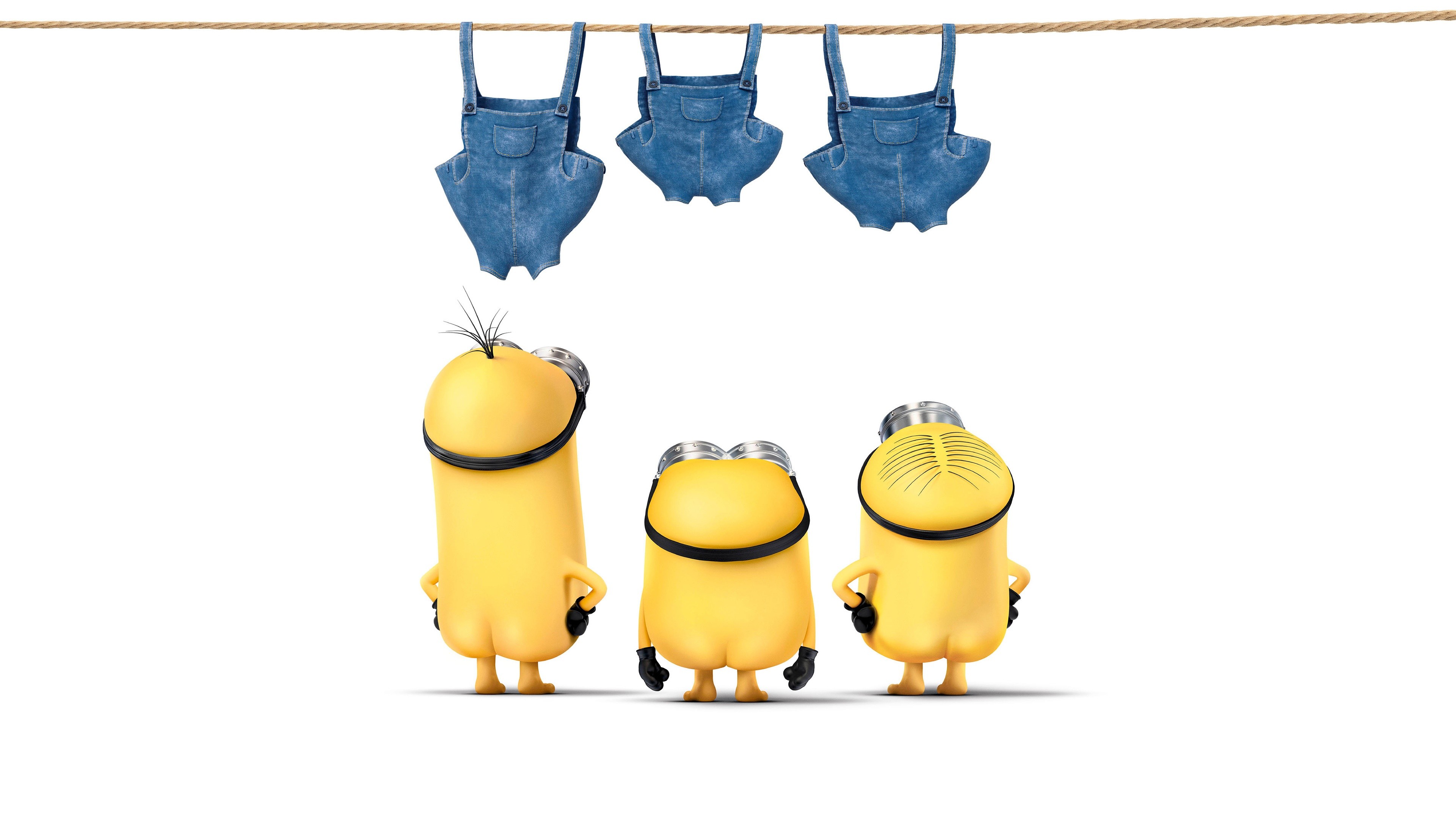 Minions, Salopette stese, Sfondo bianco, 4K, wallpaper per computer