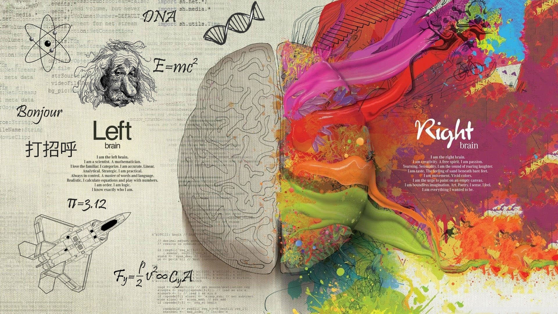 Cervello, Emisfero sinistro e destro, Albert Einstein, E=mc², DNA, Colori, sfondo Full HD per PC