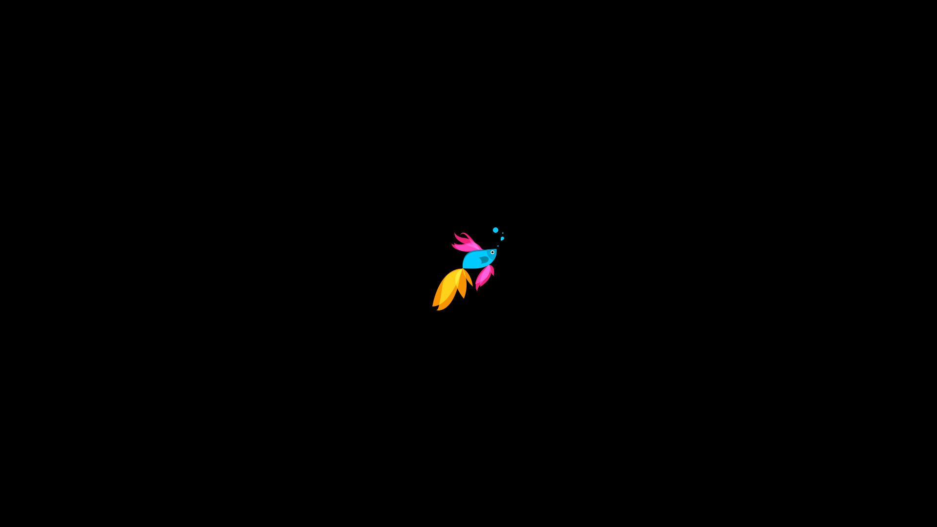 Windows 8.1, Colibrì, Sfondo nero, Minimalista, Full HD, wallpaper per portatile