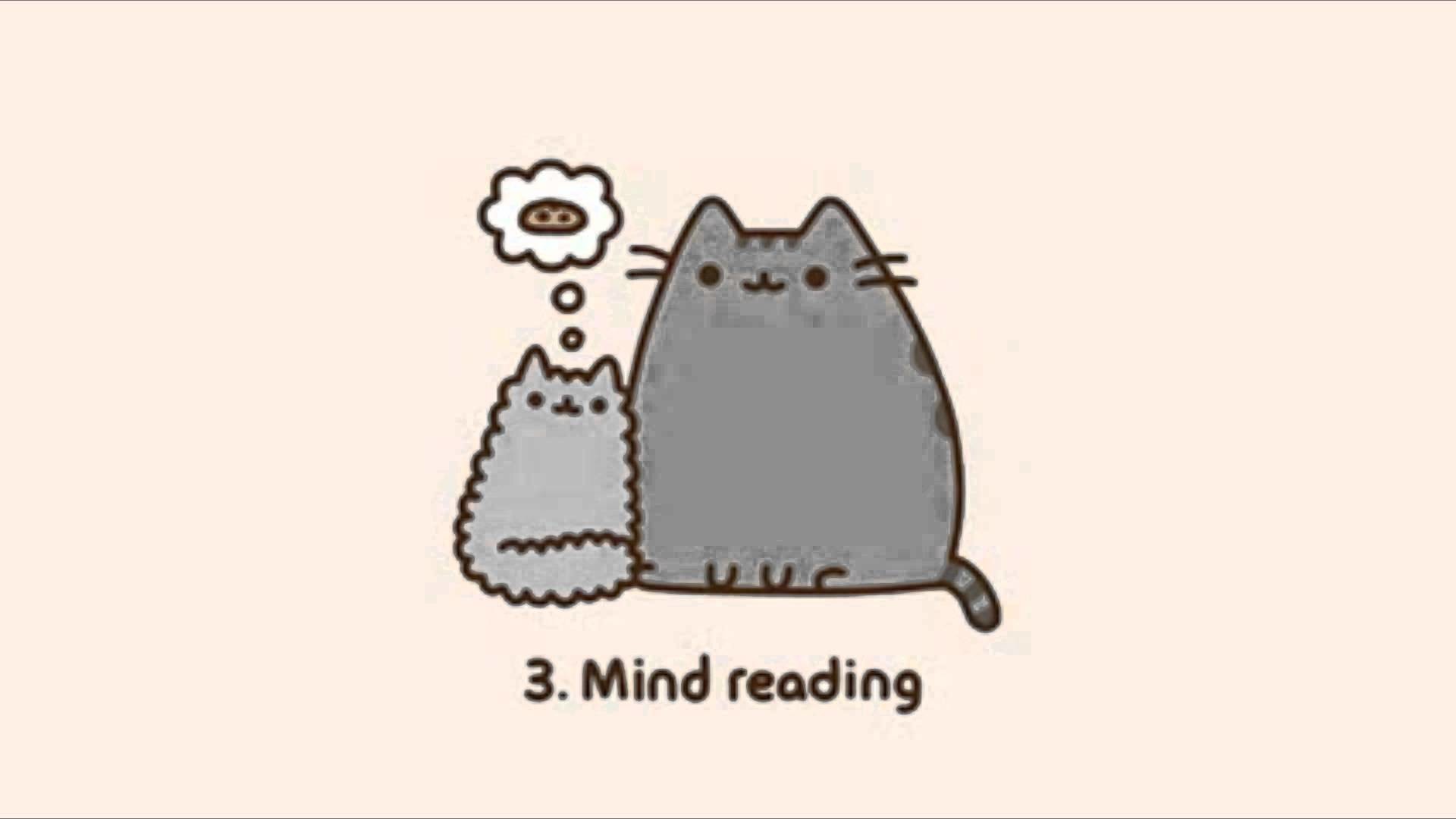 Pusheen, Stormy, Mind reading, 1920x1080, immagine di sfondo