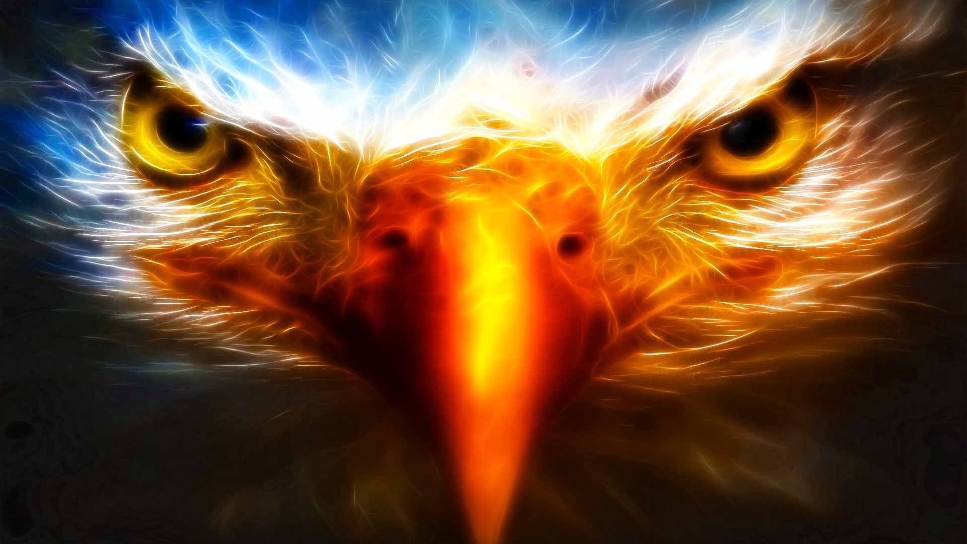 Aquila, Arte frattale, Occhi, Fuoco, 1920x1080, sfondo per PC