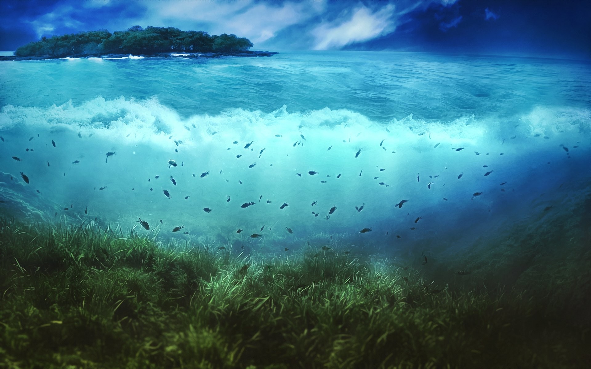 Mare, Subacqueo, Banco di pesci, Posidonia, Isola, 1920x1200, immagine di sfondo
