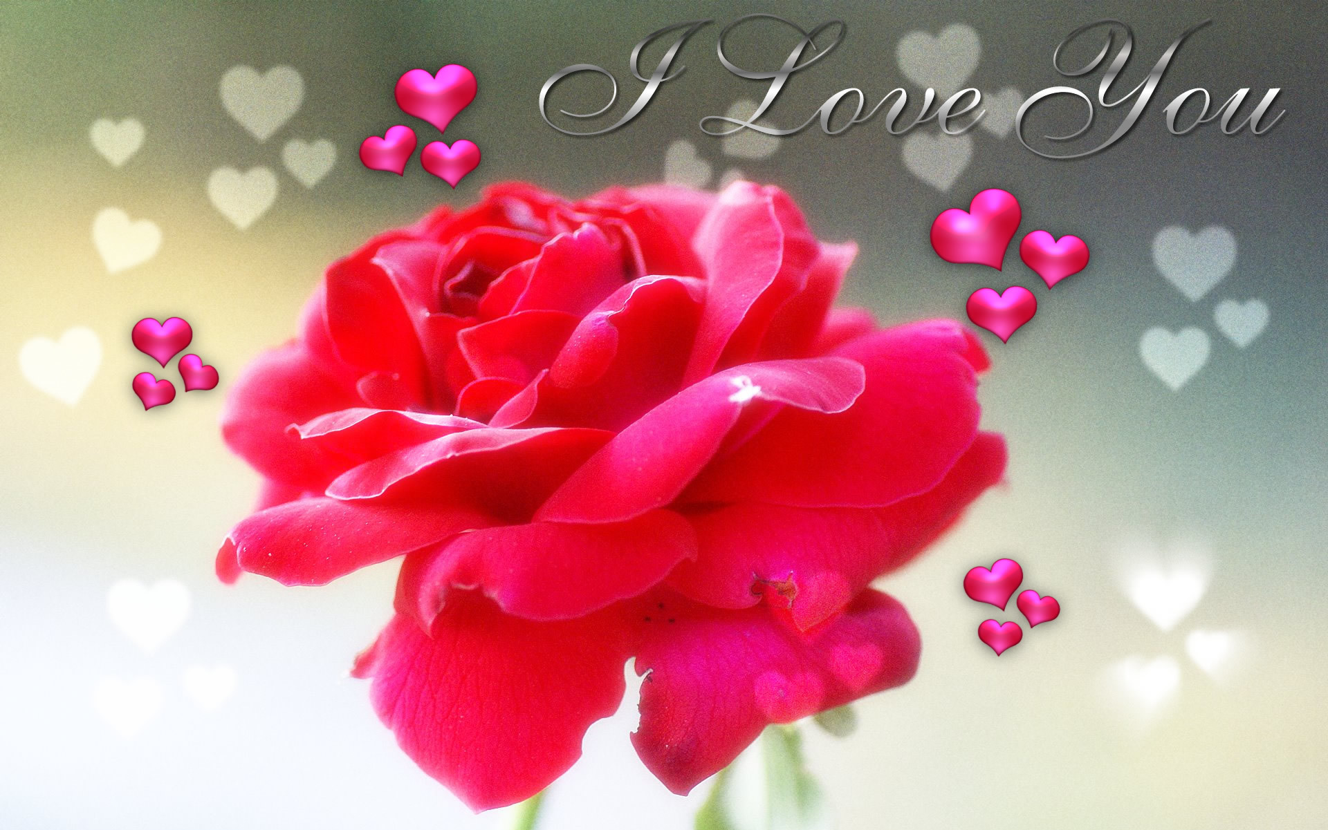 I Love You, Rosa rossa, Cuoricini, Full HD, sfondo per PC