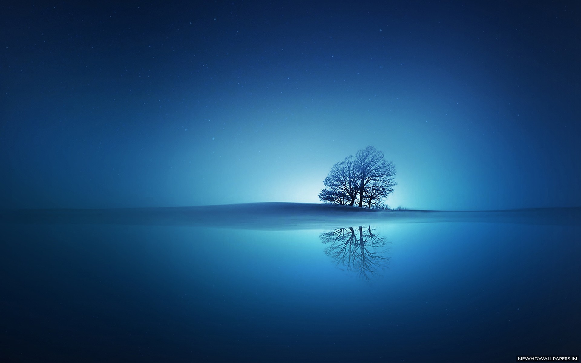 Albero solitario, Riflesso, Blu, Minimalista, sfondo PC Full HD