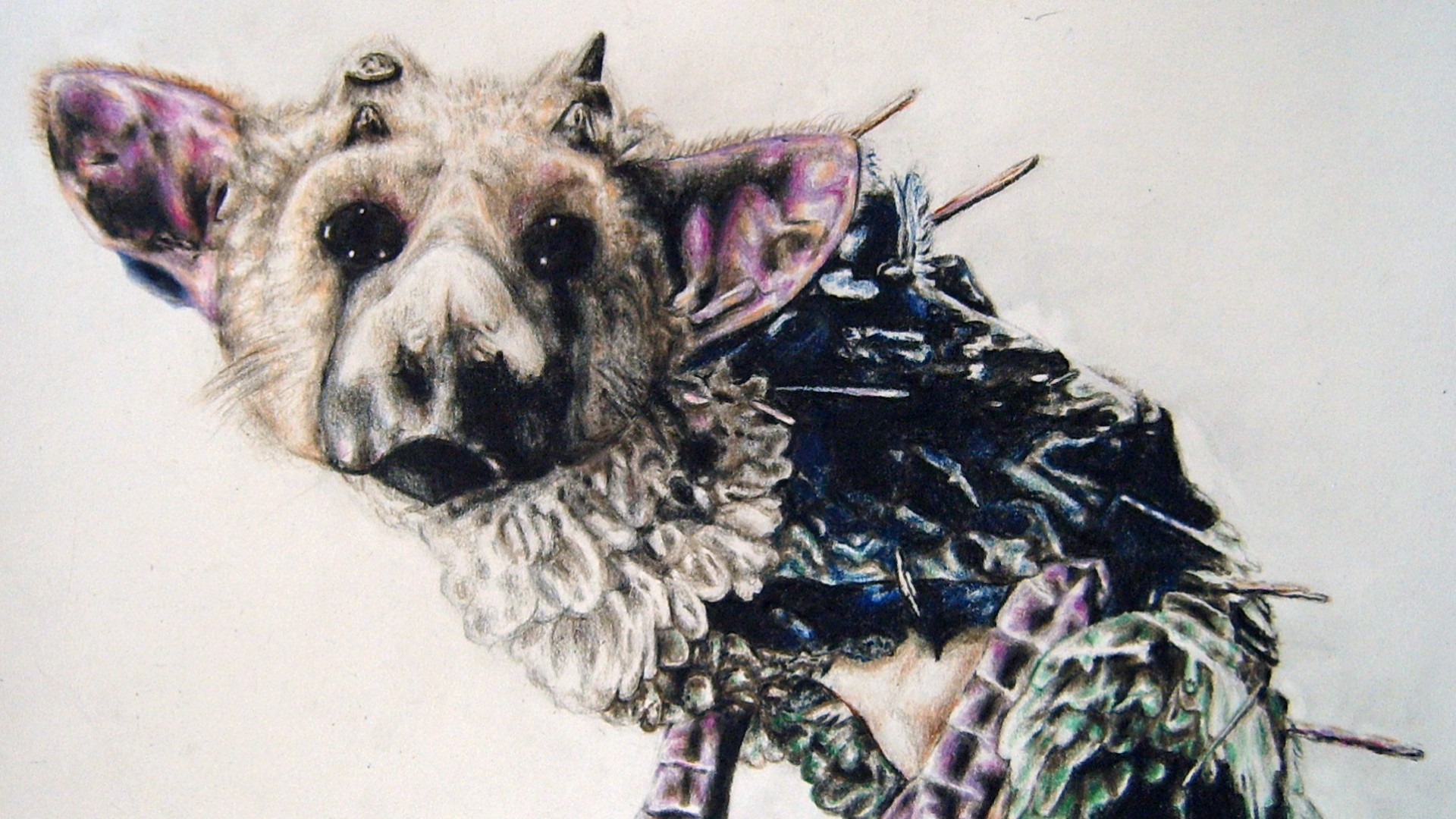 Trico, The Last Guardian, Disegno, Primo piano, Full HD, wallpaper per PC