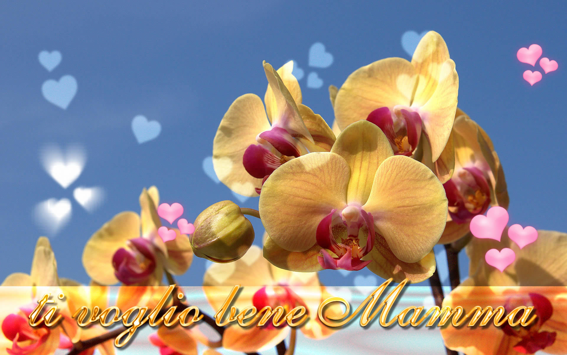 Ti voglio bene Mamma, Festa della mamma, Orchidee, Cuori, wallpaper per desktop