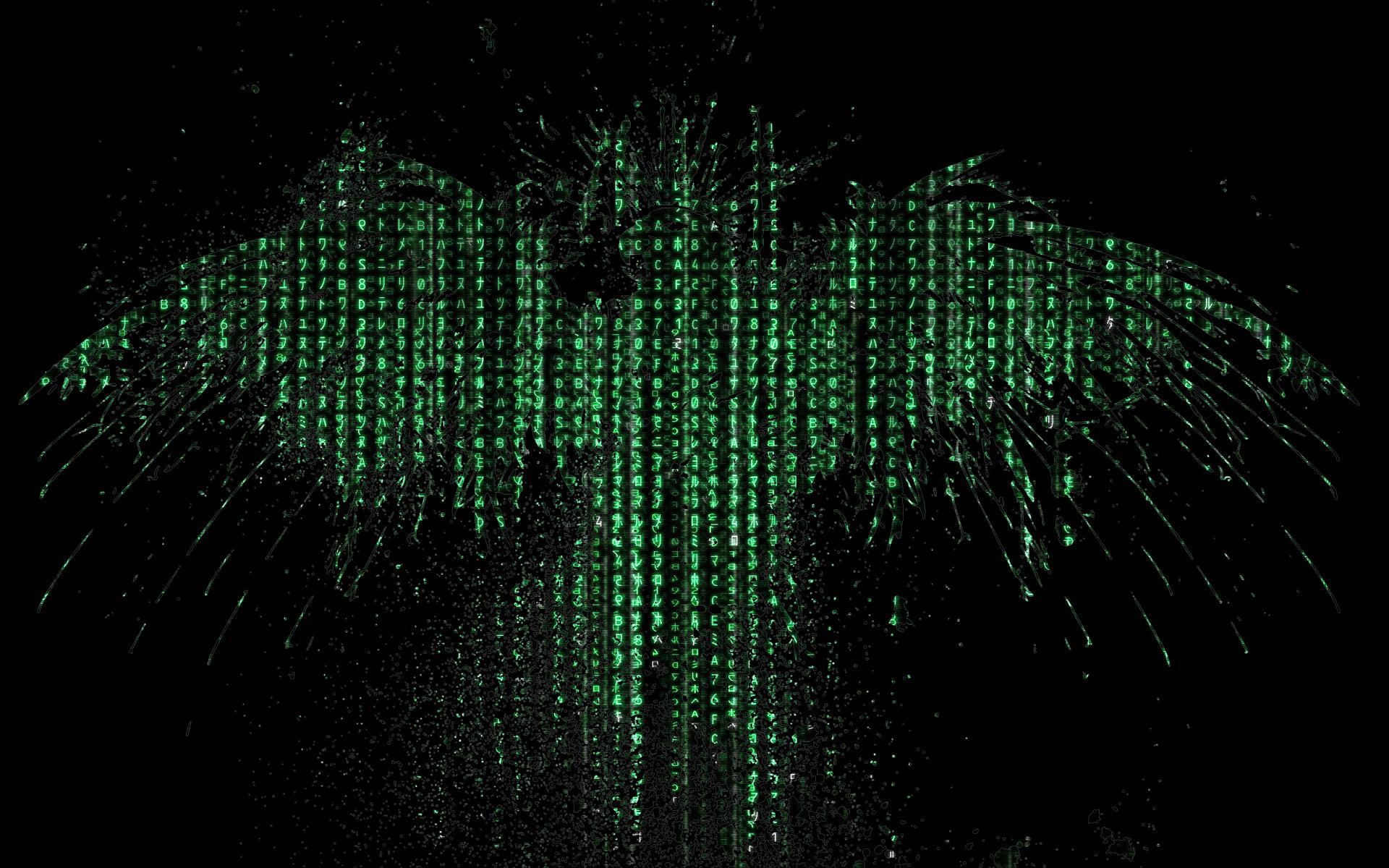 Matrix, Aquila, Codice digitale, Sfondo nero, Full HD, wallpaper per portatile