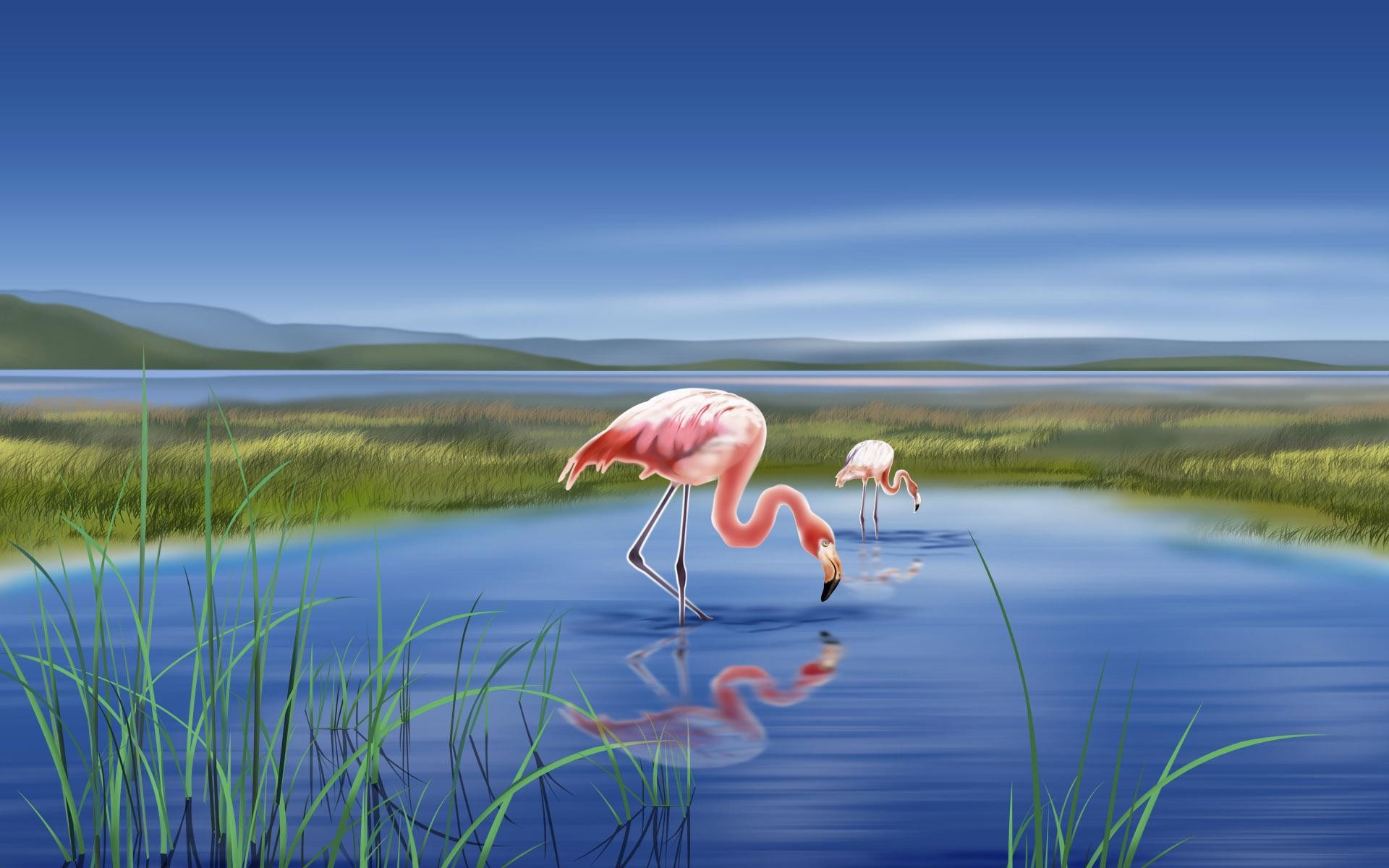 Fenicotteri, Lago, Illustrazione, Cielo blu, 1920x1200, sfondo per PC