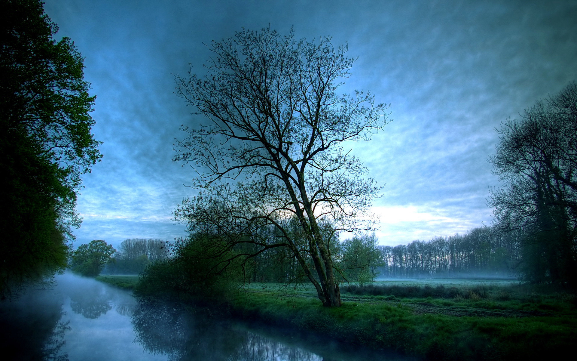 Albero, Fiume, Prato, Nebbia, 1920x1200, sfondo MacBook Pro