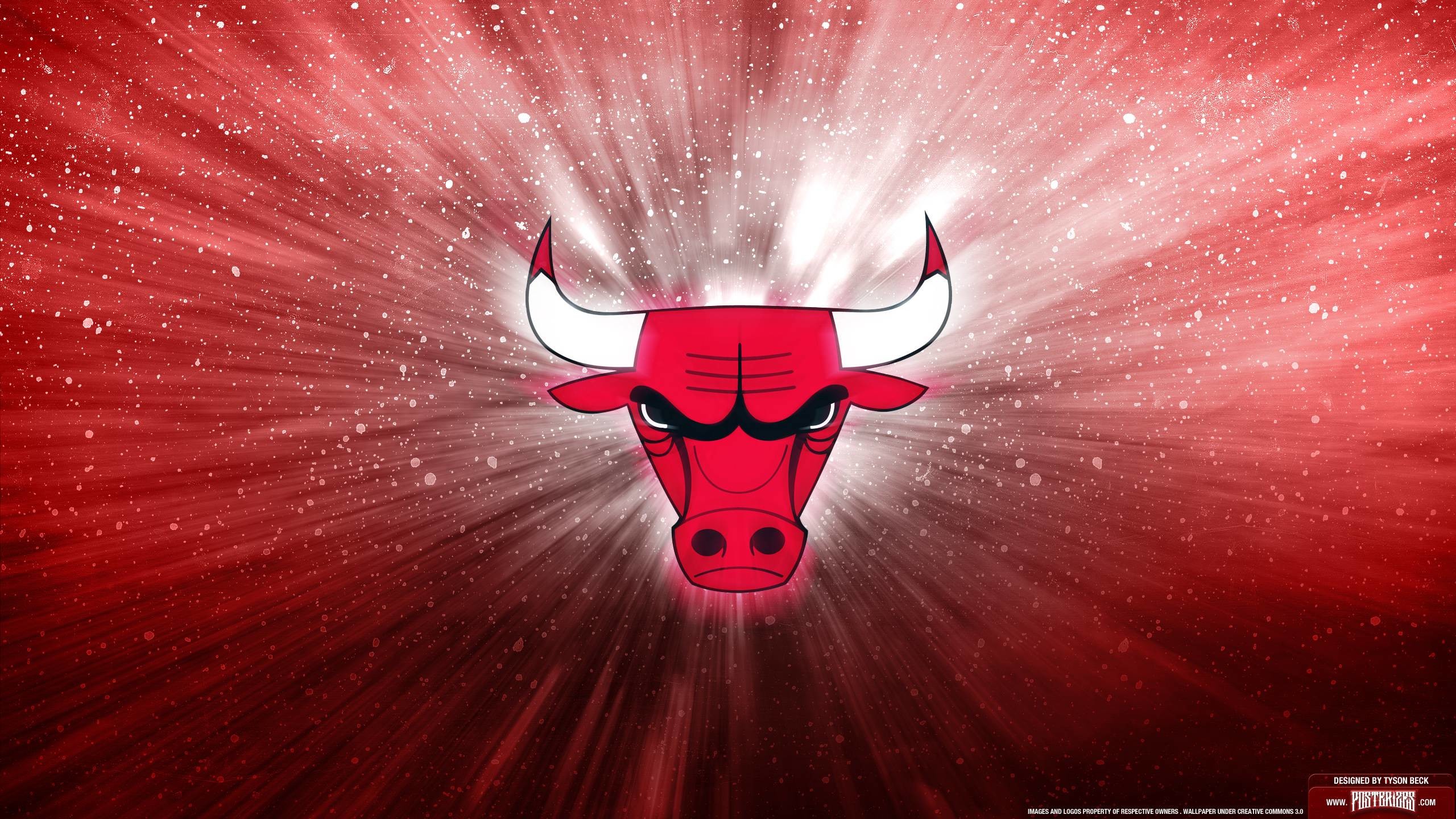 Chicago Bulls, NBA, Logo, Rosso, 2560x1440, sfondo per PC