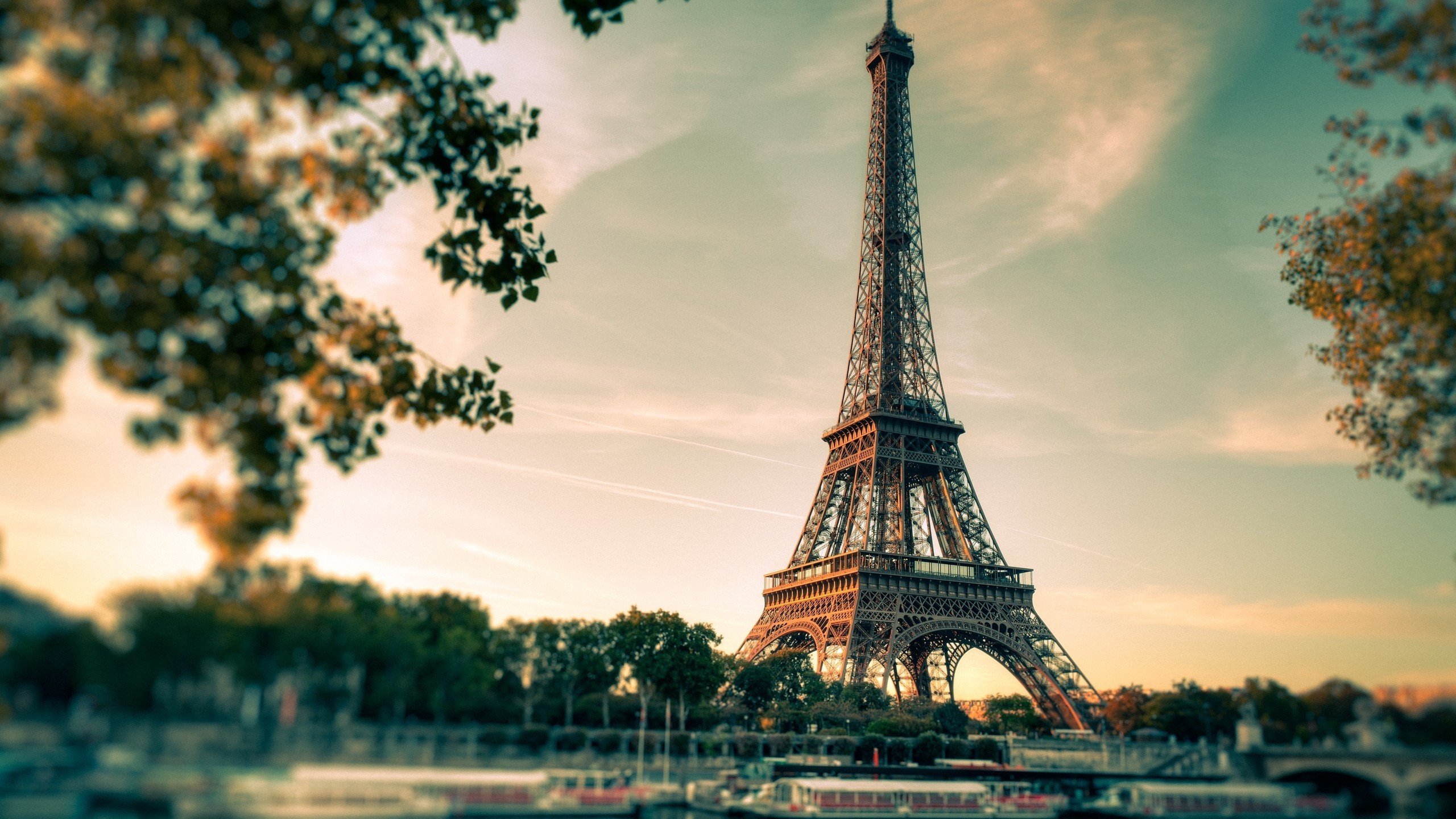 Torre Eiffel, Parigi, Francia, Alberi, 2K, sfondo per PC e portatile