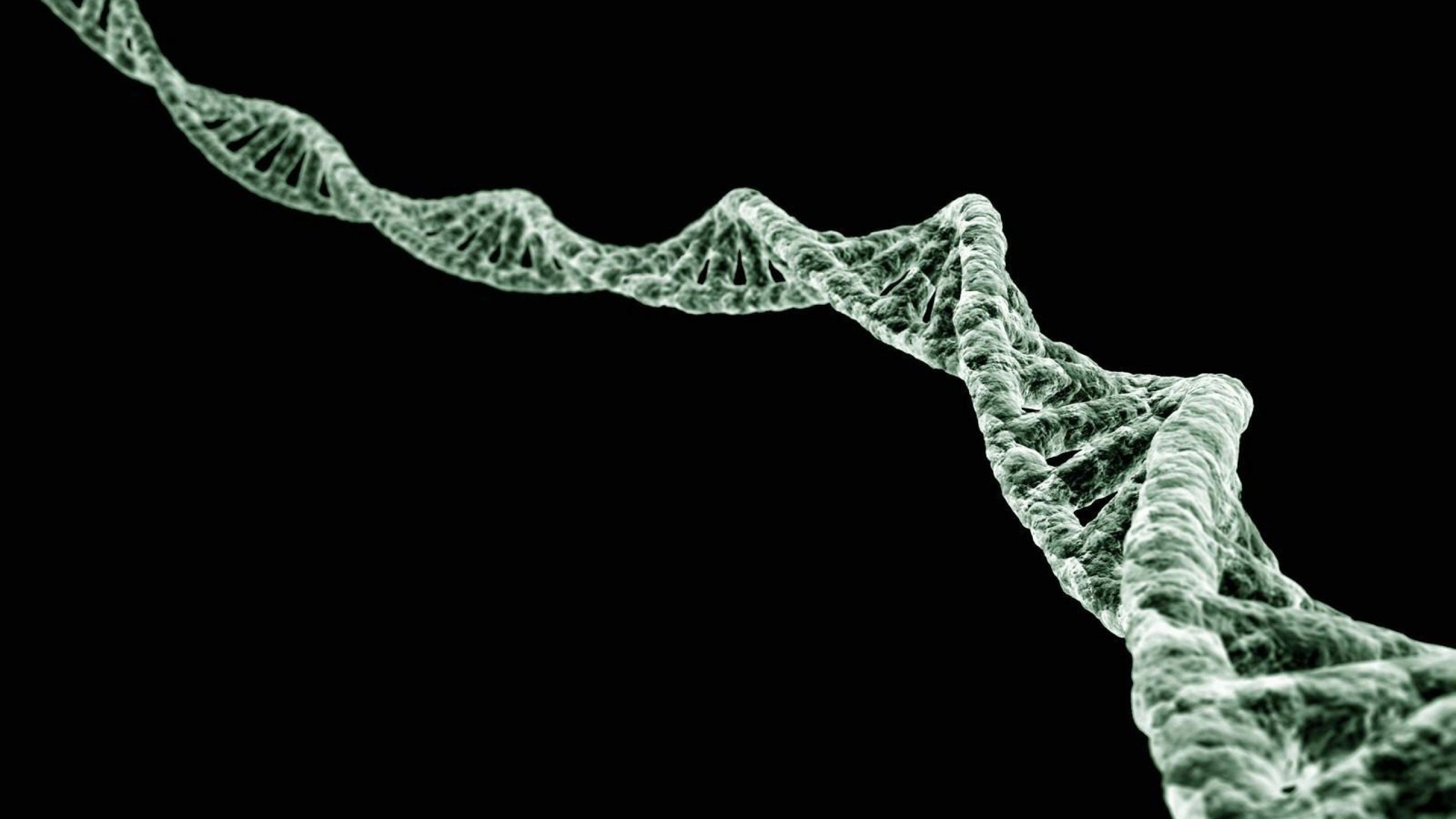 DNA, Doppia elica, Sfondo nero, 2K, wallpaper desktop