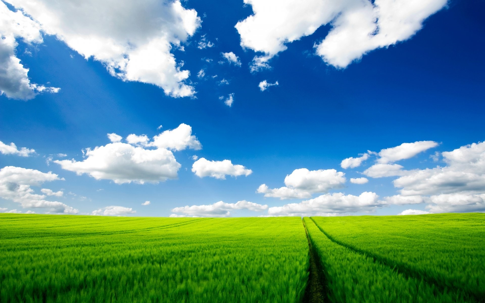Prato verde, Cielo azzurro, Nuvole, Full HD, sfondo per desktop