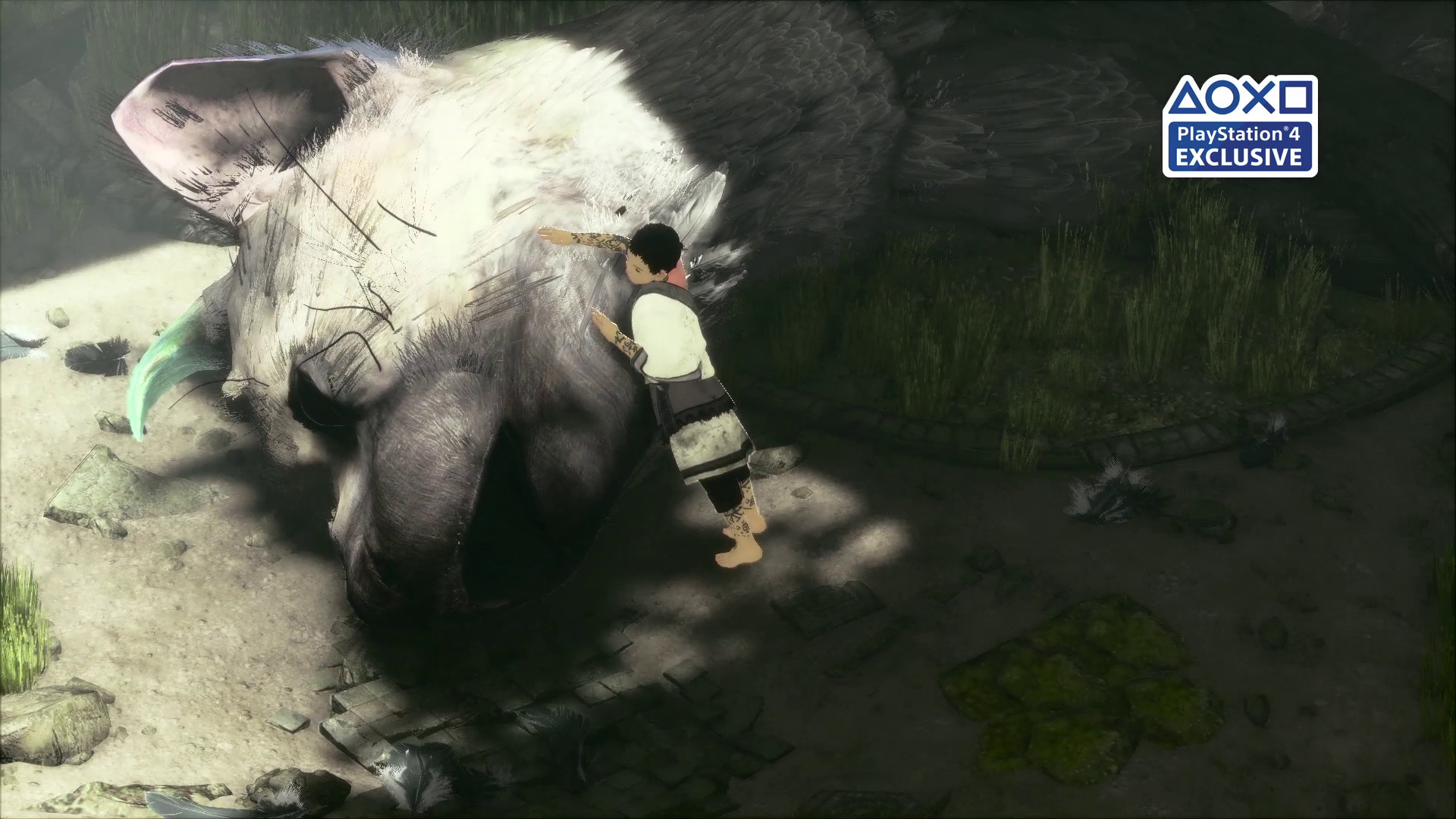 Trico, The Last Guardian, Ragazzo, PlayStation 4, Full HD, sfondo Windows 11