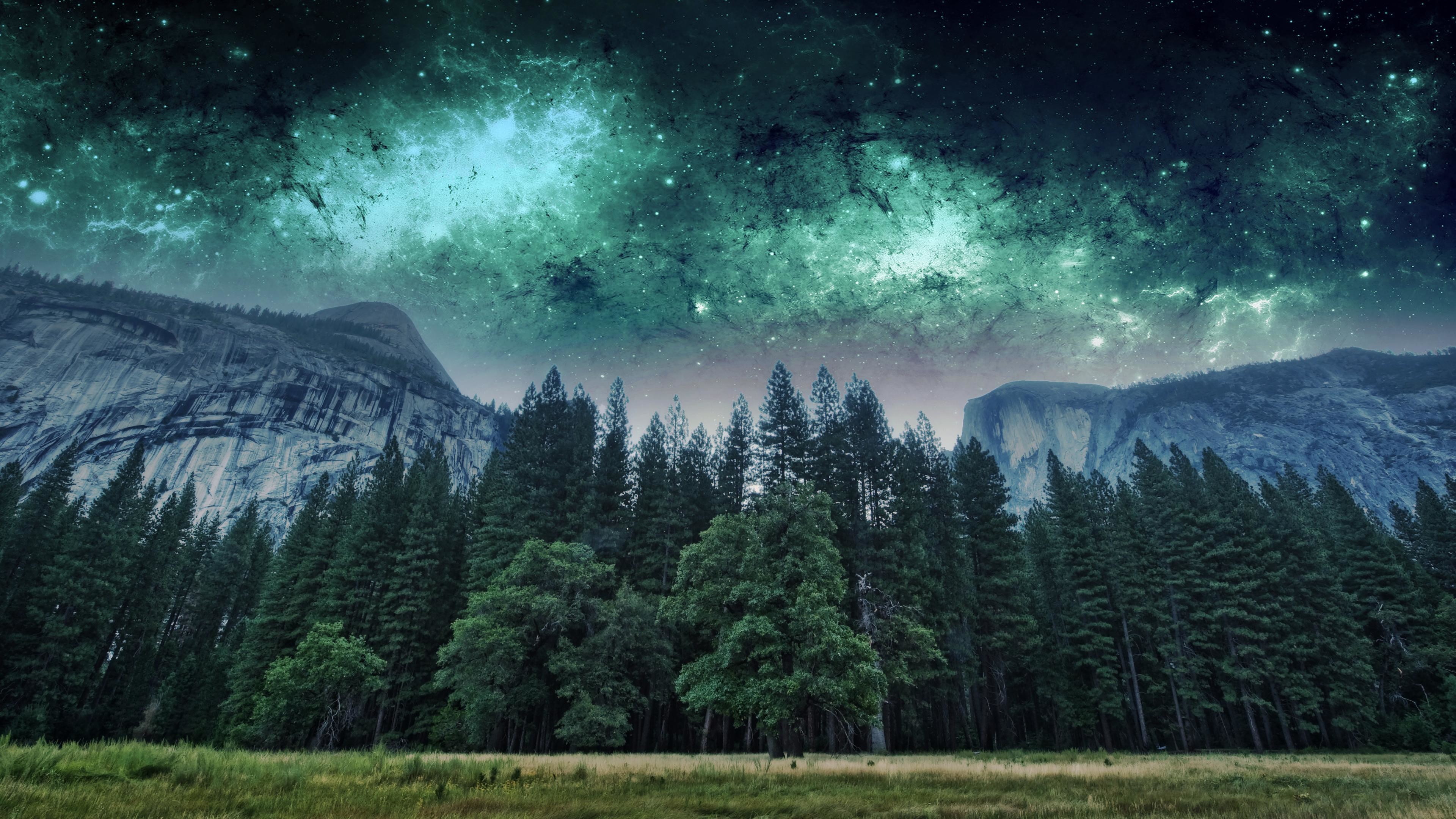 Yosemite, Foresta, Cielo stellato, 16:9 4K, wallpaper widescreen
