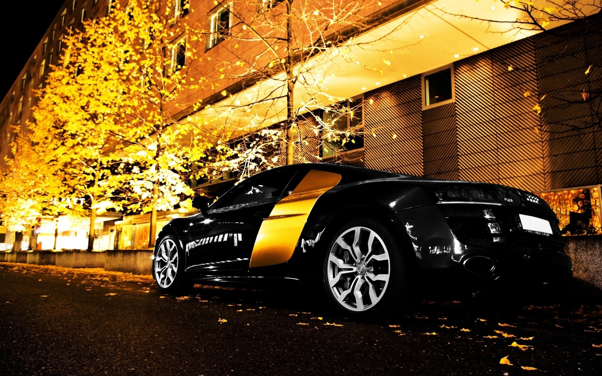 Audi R8, Audi, Autunno, Notte, 1920x1200, sfondo MacBook Pro