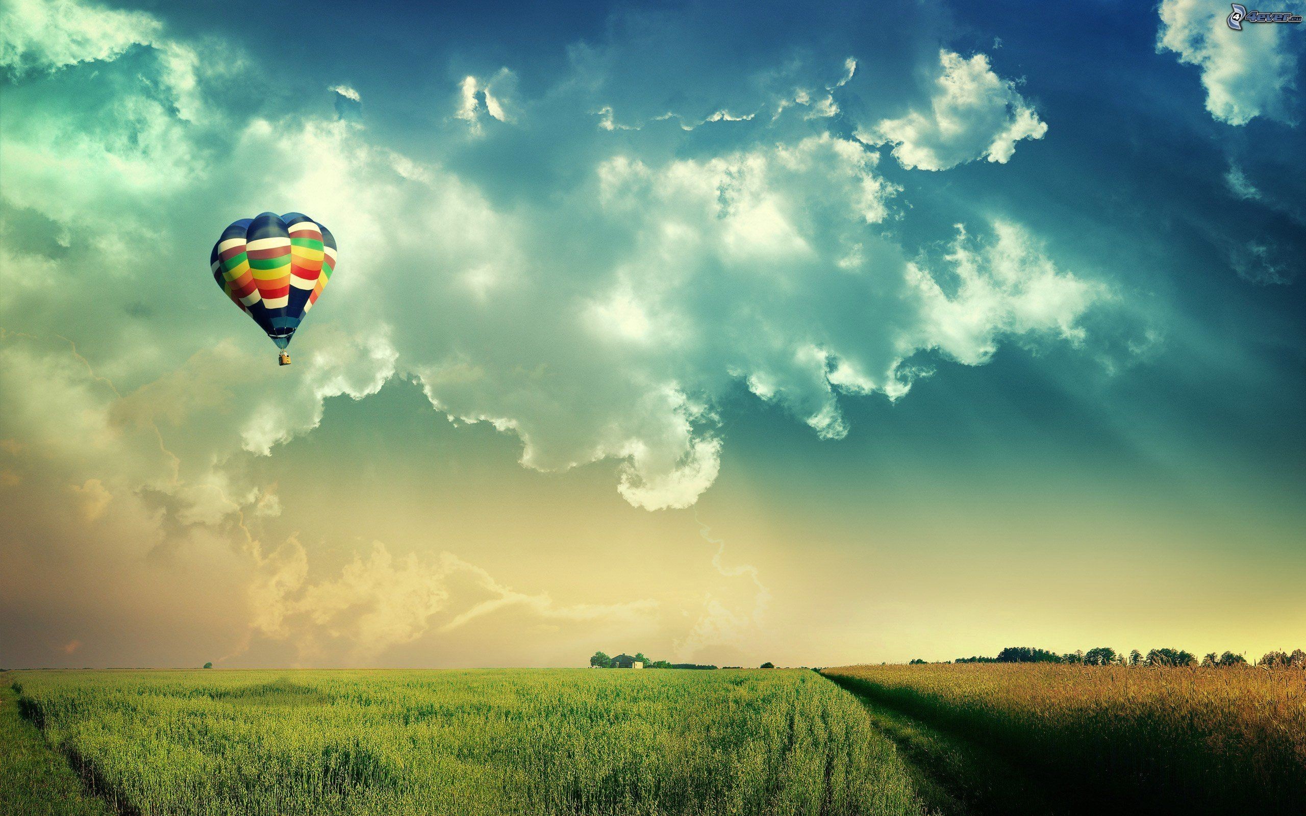 Mongolfiera, Prato, Nuvole, Cielo, 2K, wallpaper per portatile