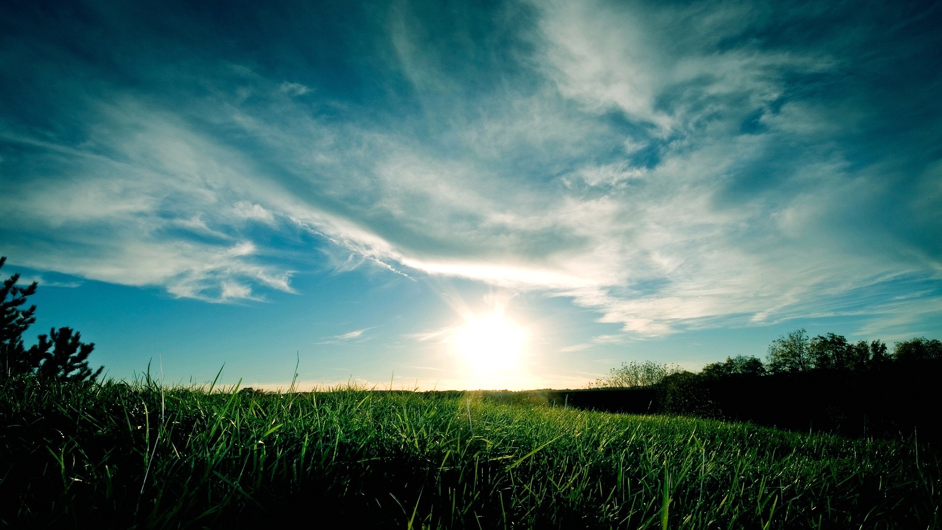 Cielo, Sole, Prato, Nuvole, Controluce, Full HD, sfondo Windows 11