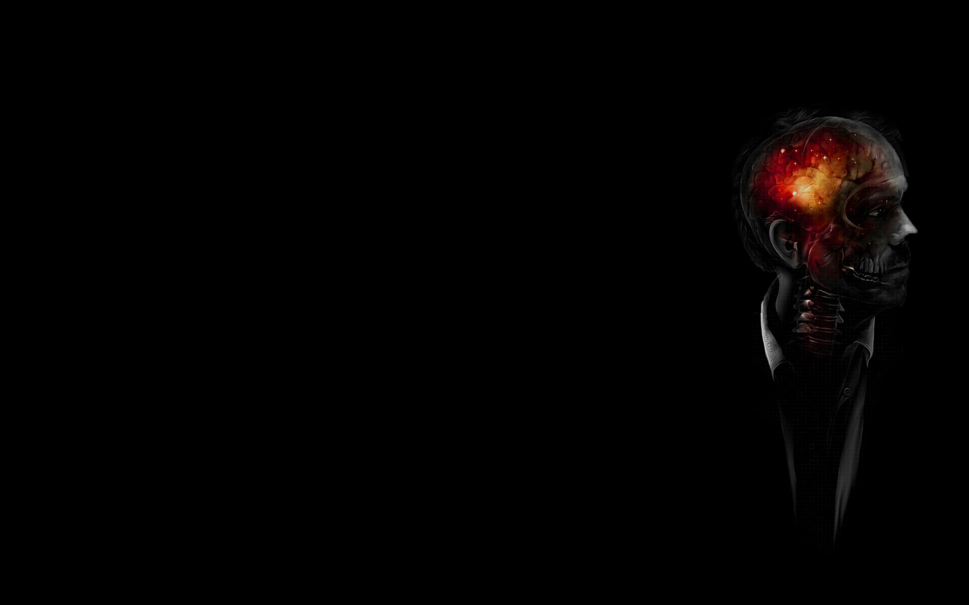 Dr. House, Cervello, Sfondo nero, Teschio, 1920x1200, wallpaper desktop