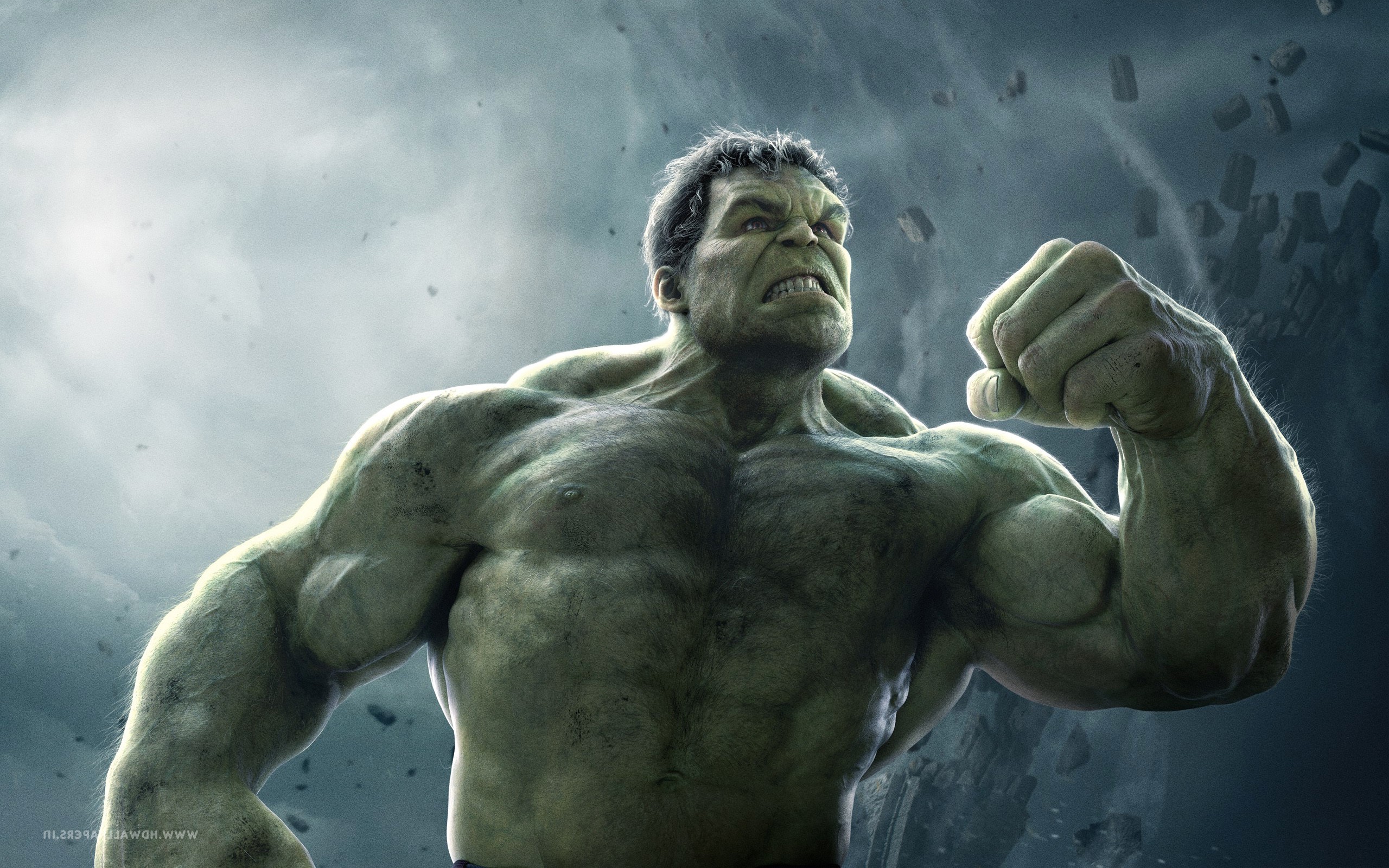 Hulk, Avengers: Age of Ultron, Mark Ruffalo, Pugno, Cielo tempestoso, sfondo 2560x1600 per PC